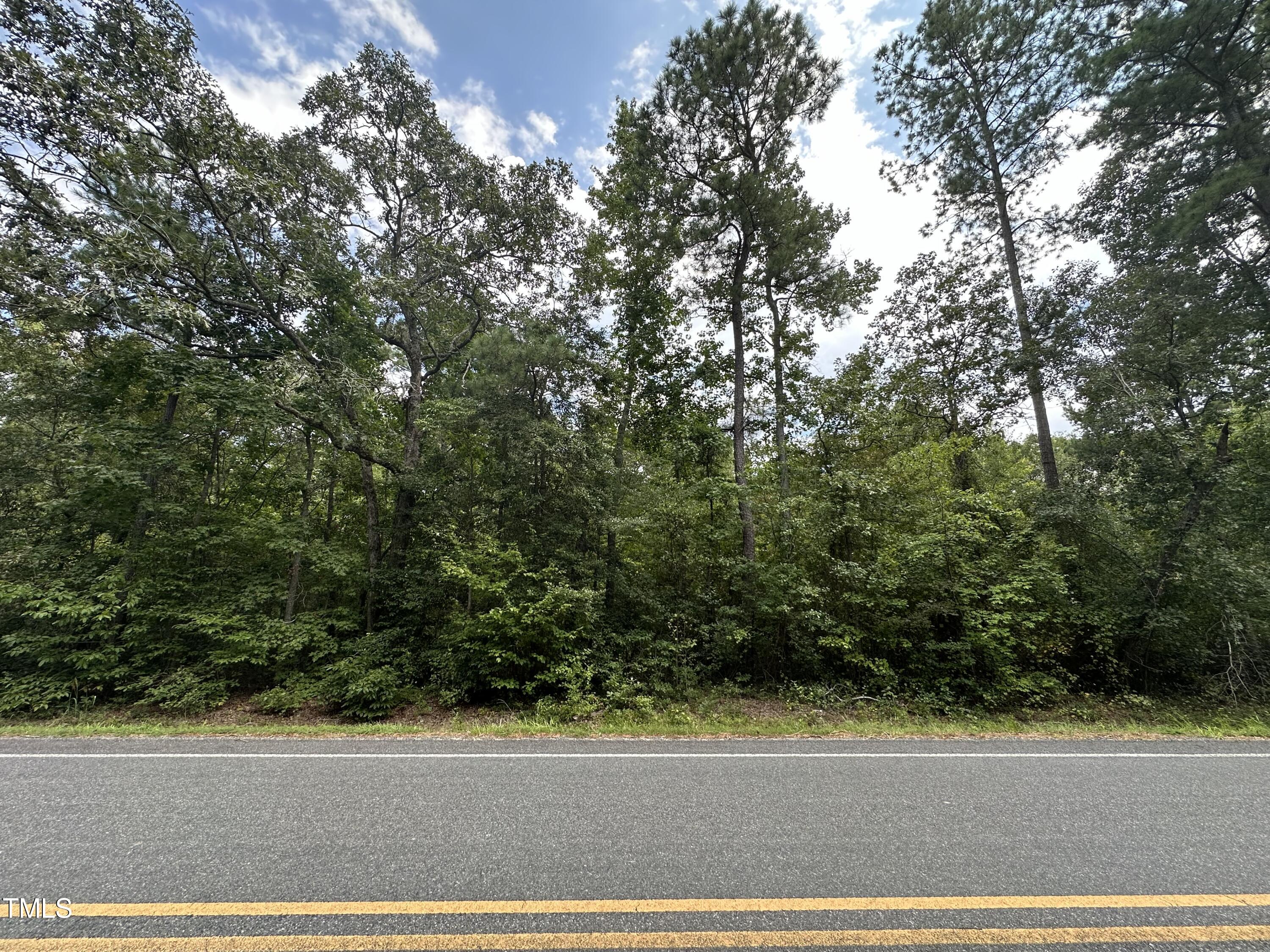 0 Mcbryde Street Property Photo 1