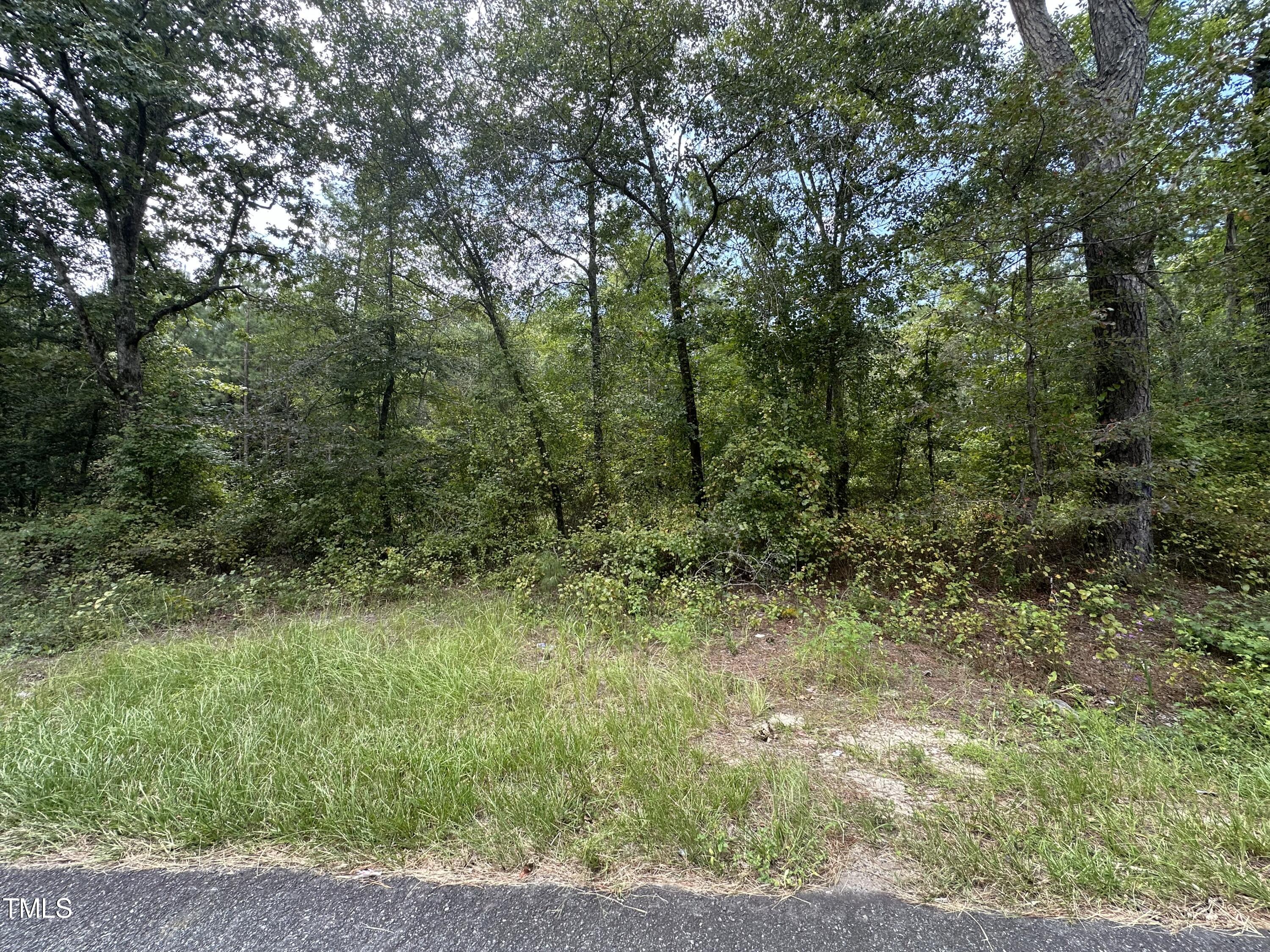 0 Mcbryde Street Property Photo 4