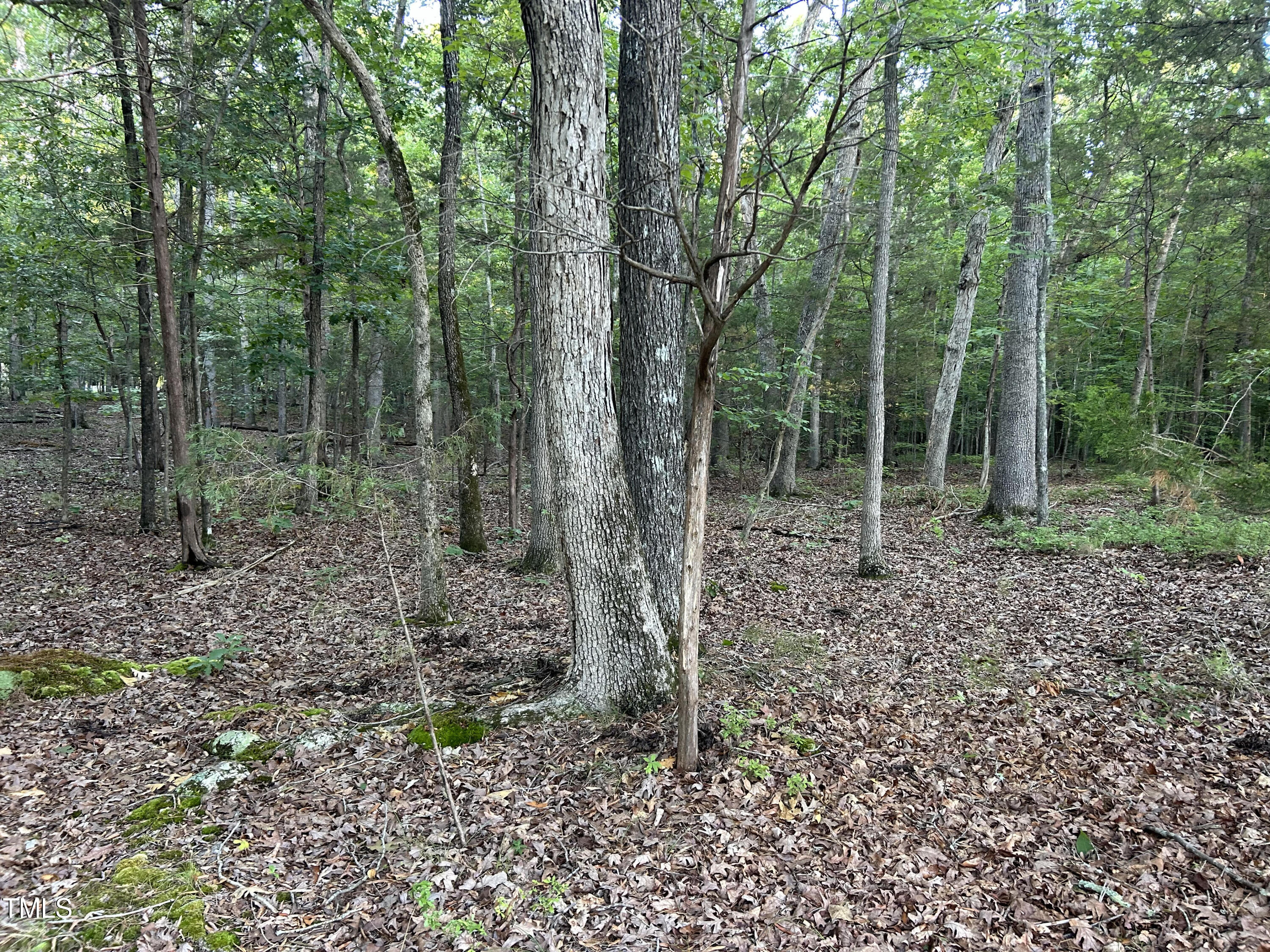 5713 Altrada Drive Property Photo 2