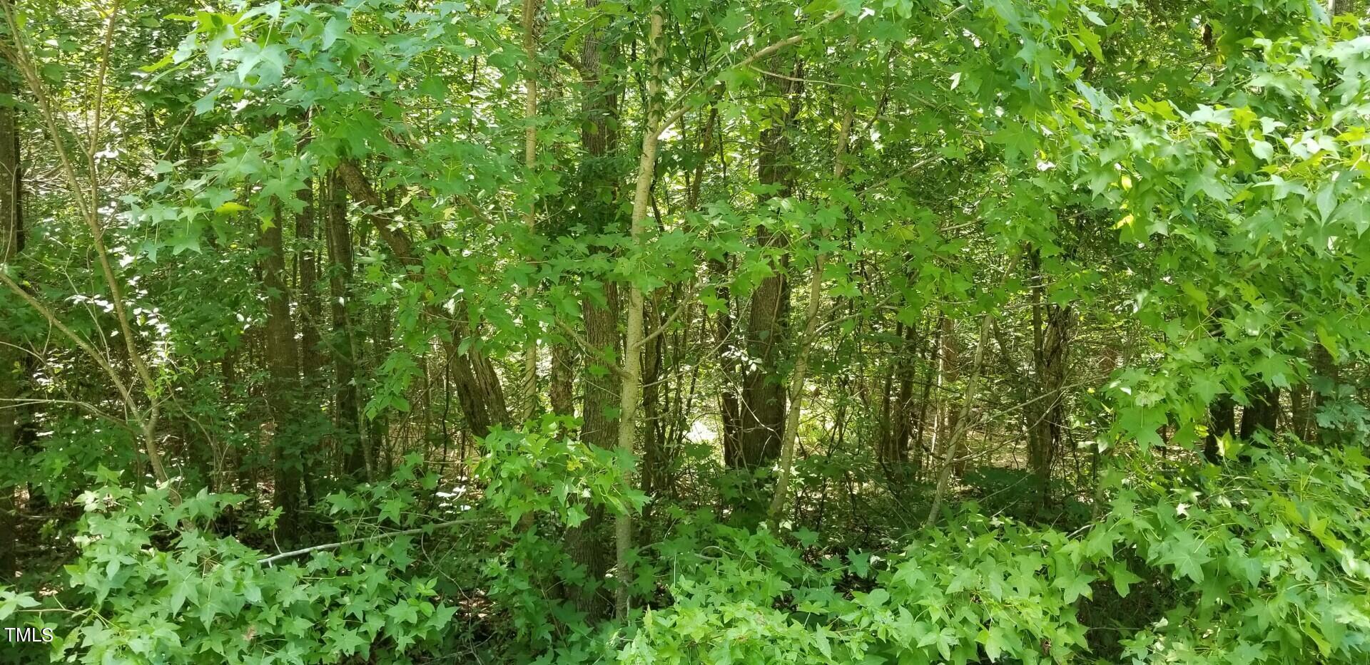 0 Egypt Mountain Road Property Photo 2