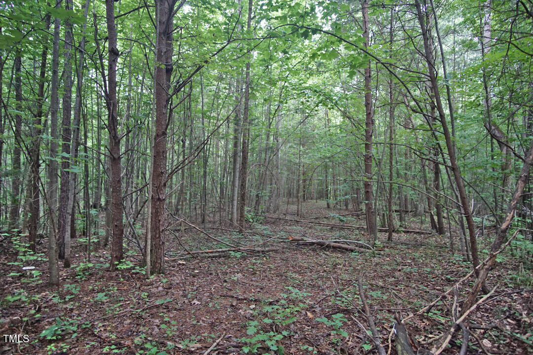 0 Mudlee Drive Property Photo
