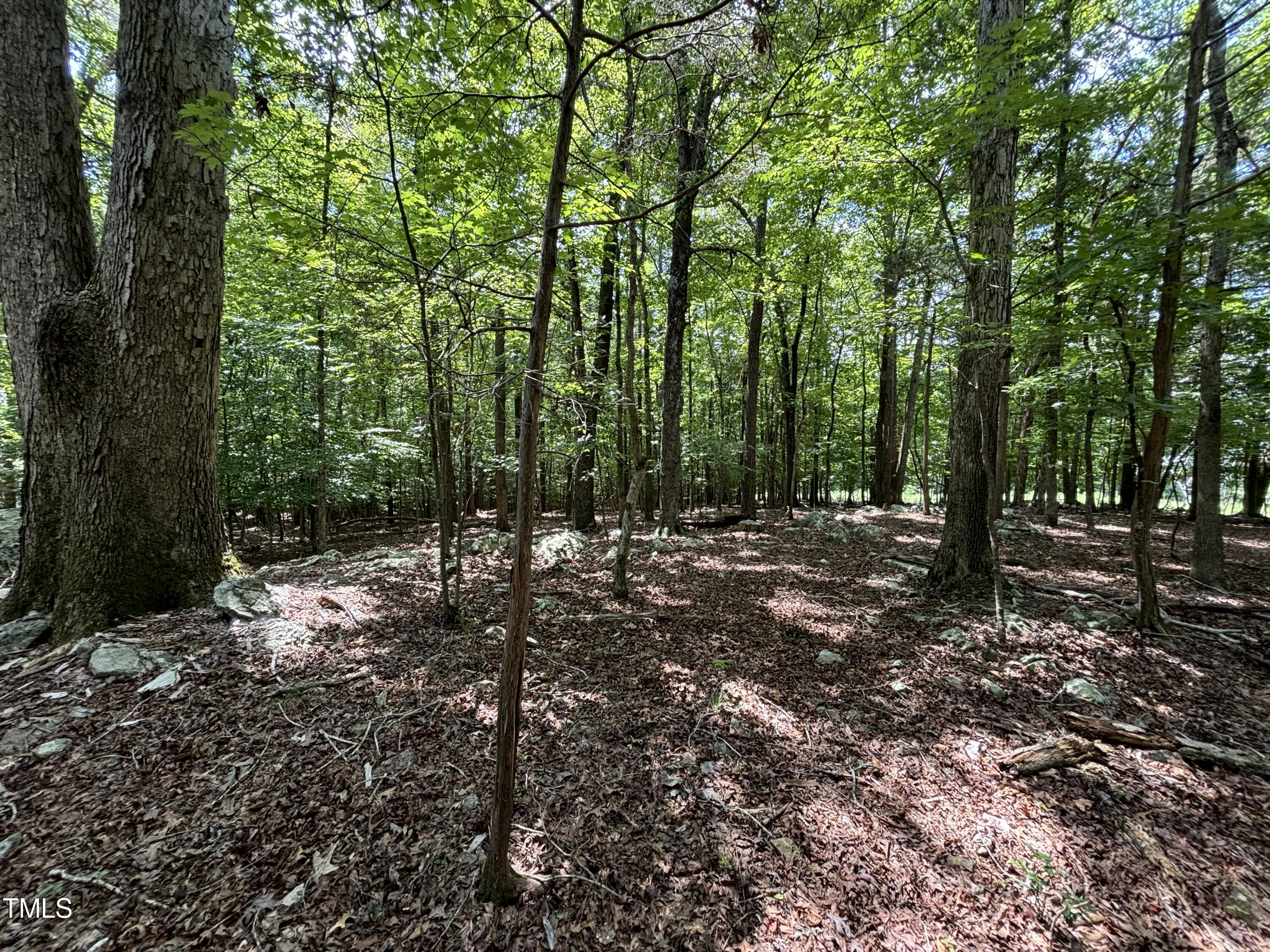 1511 Tallyho Trail Property Photo 13