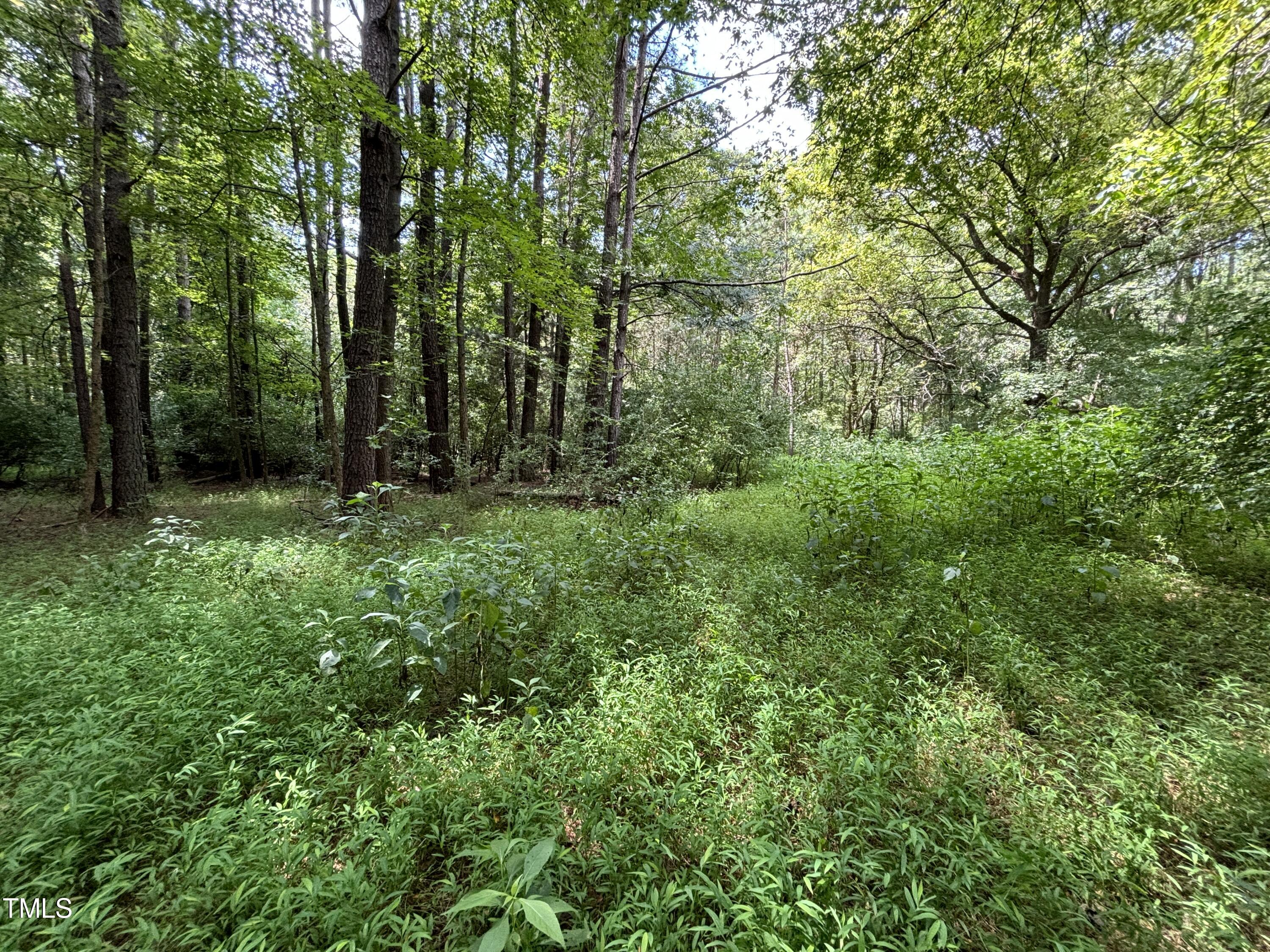 1511 Tallyho Trail Property Photo 15