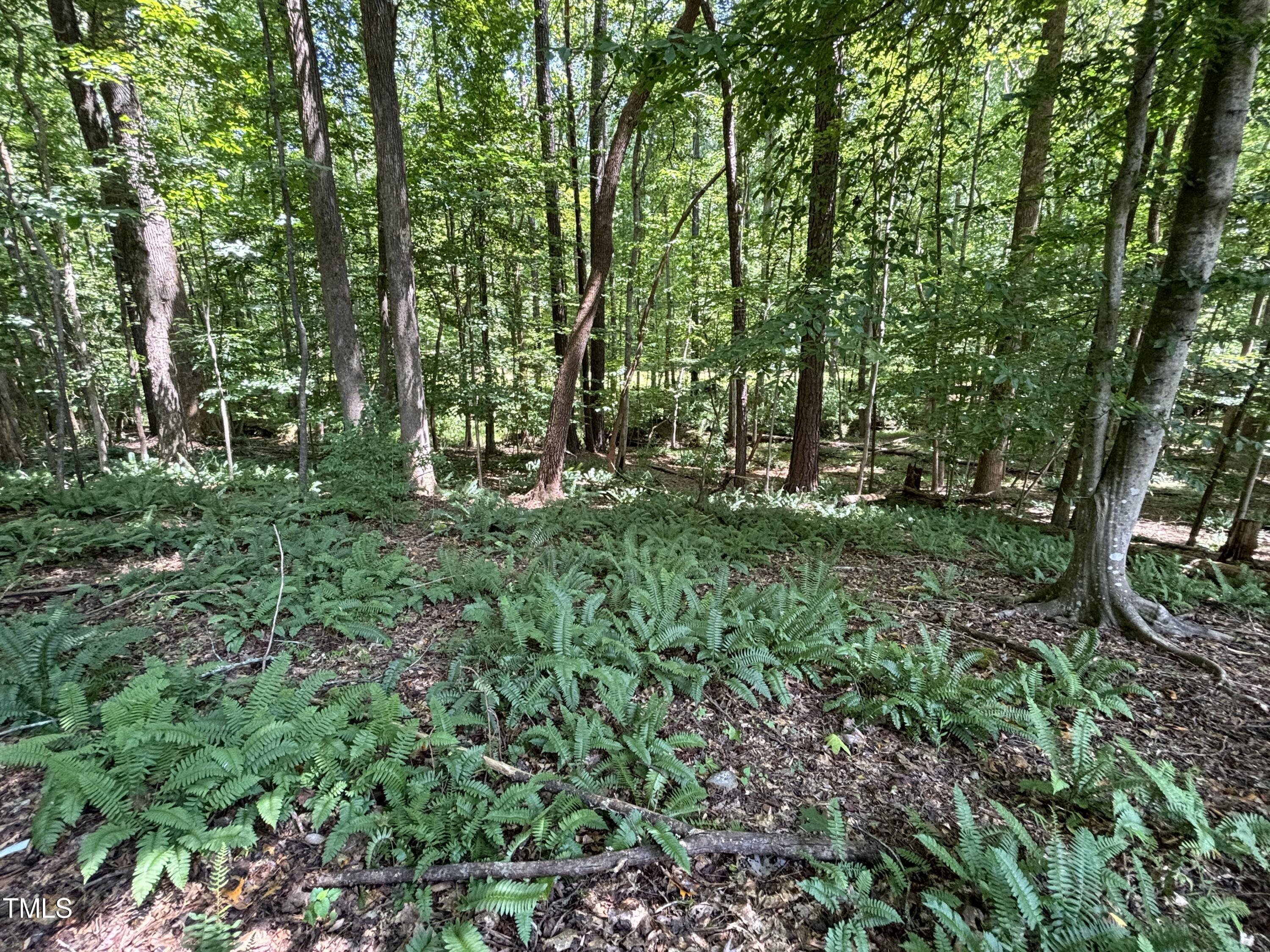 1511 Tallyho Trail Property Photo 16