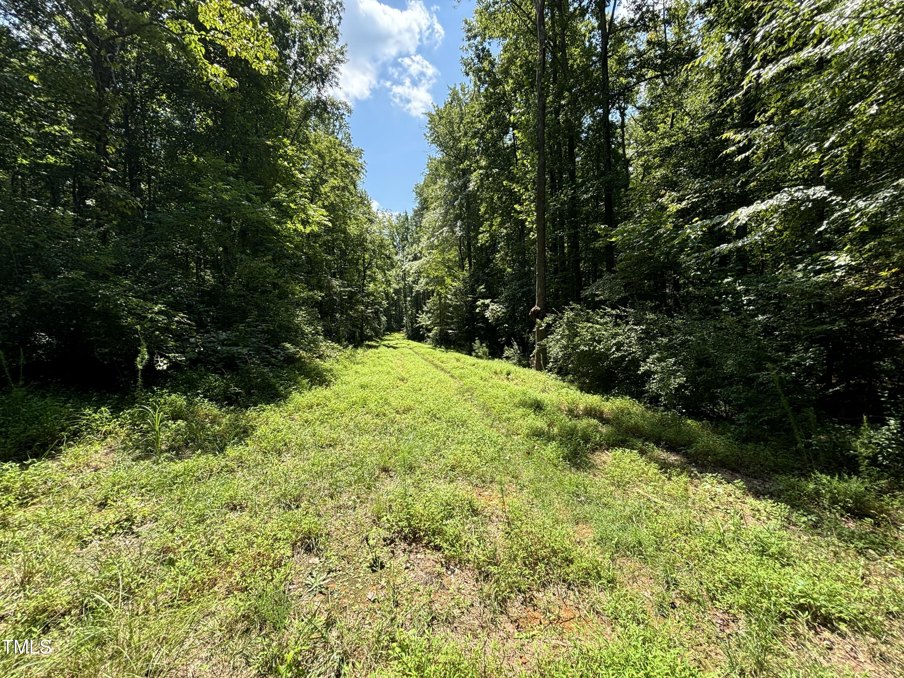 1511 Tallyho Trail Property Photo 17