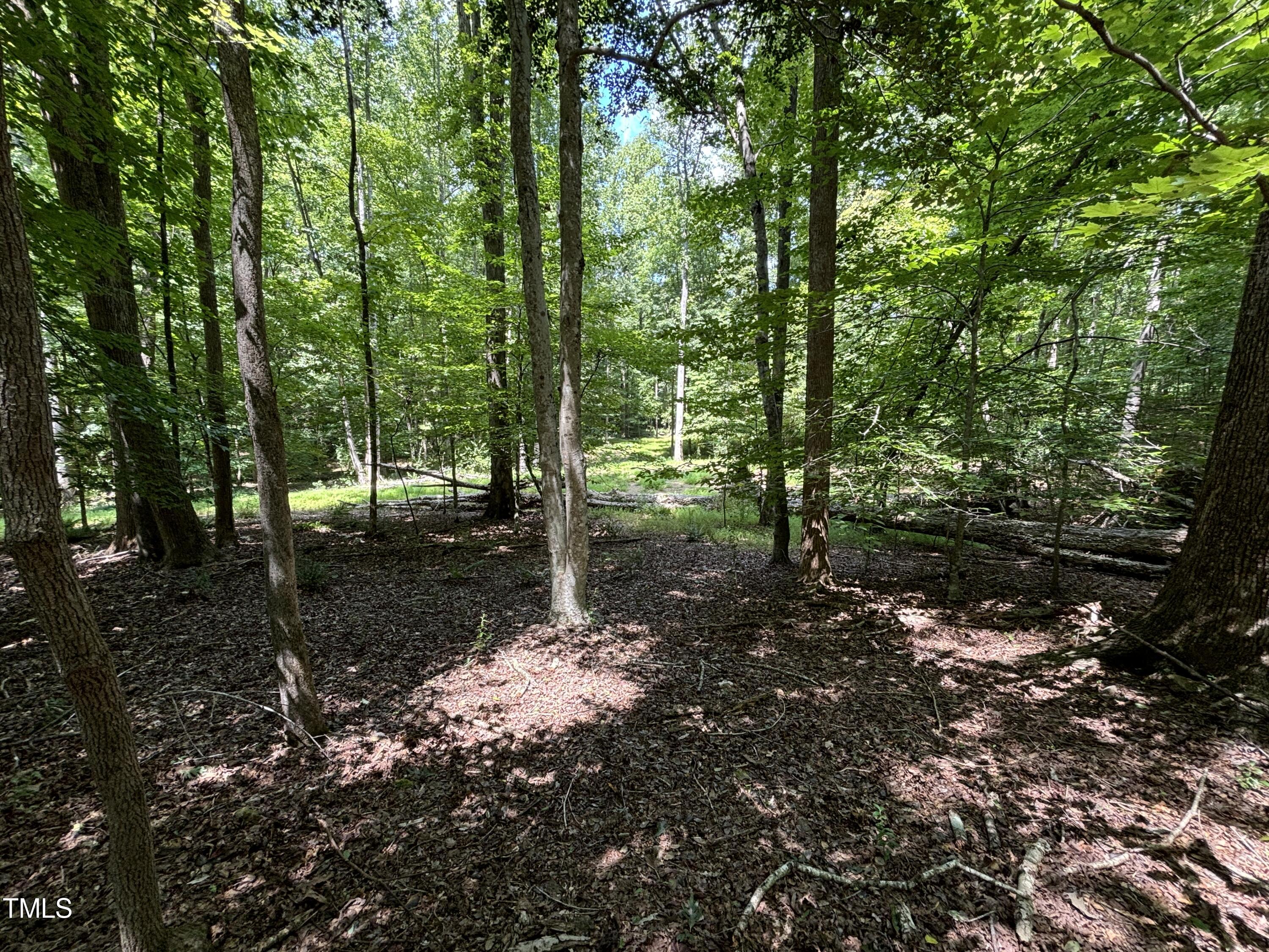 1511 Tallyho Trail Property Photo 18