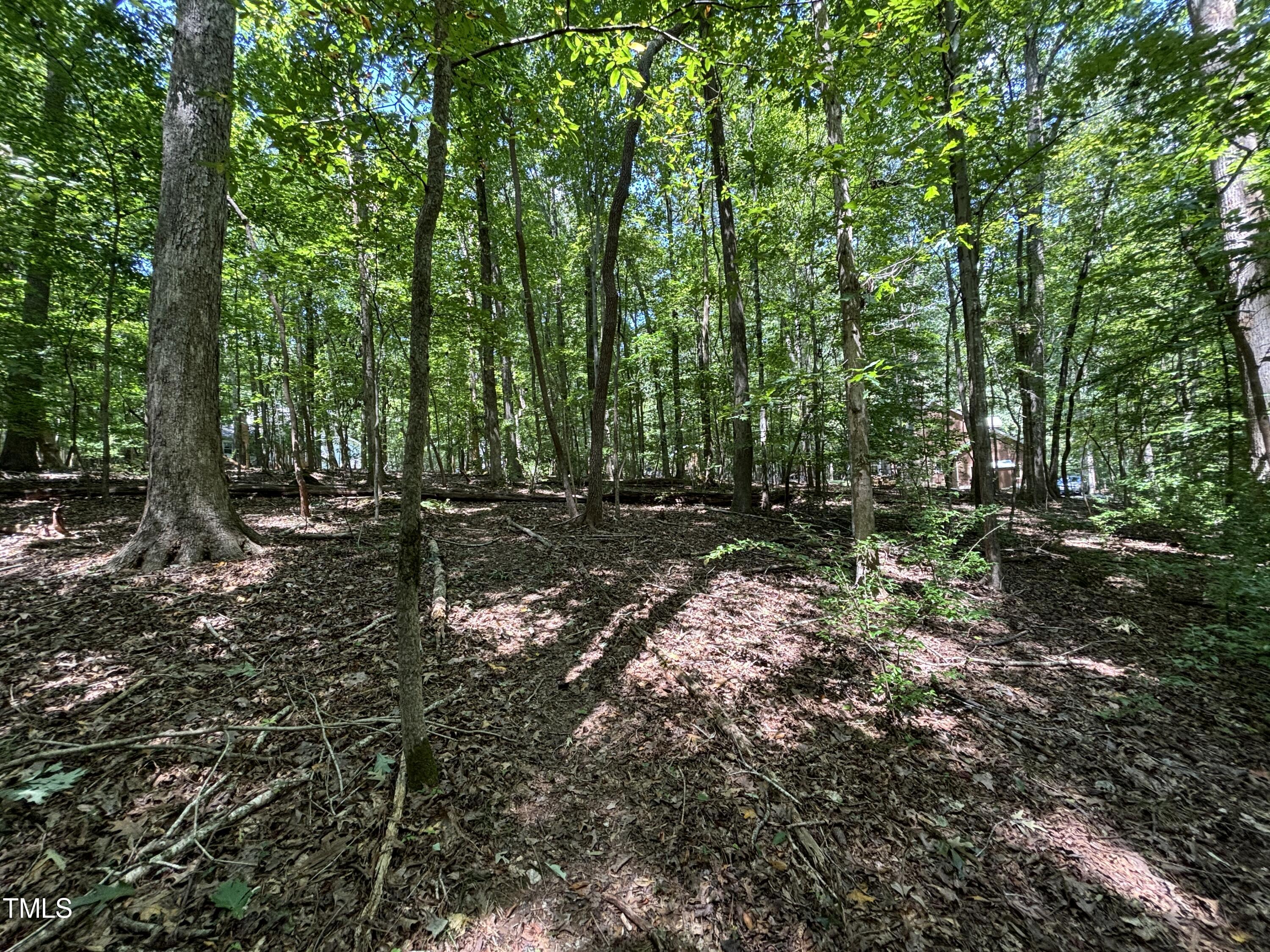 1511 Tallyho Trail Property Photo 19