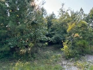 1 Thompson Rd Property Photo 12