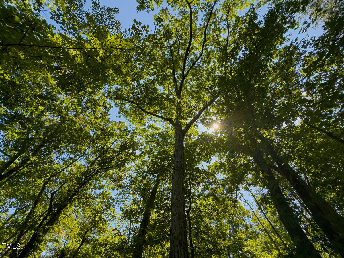 00 Aldridge Road Property Photo 14