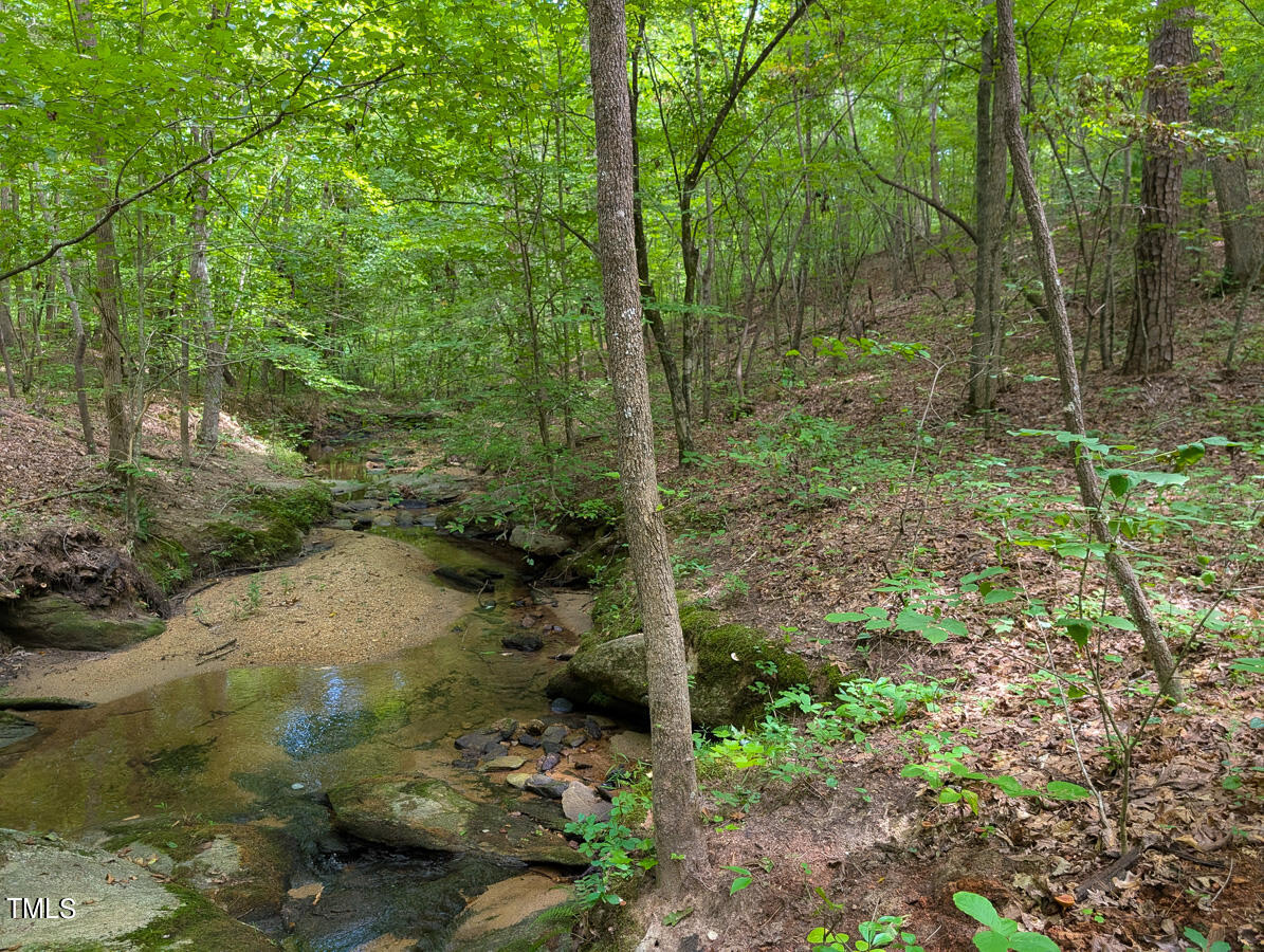 00 Aldridge Road Property Photo 17