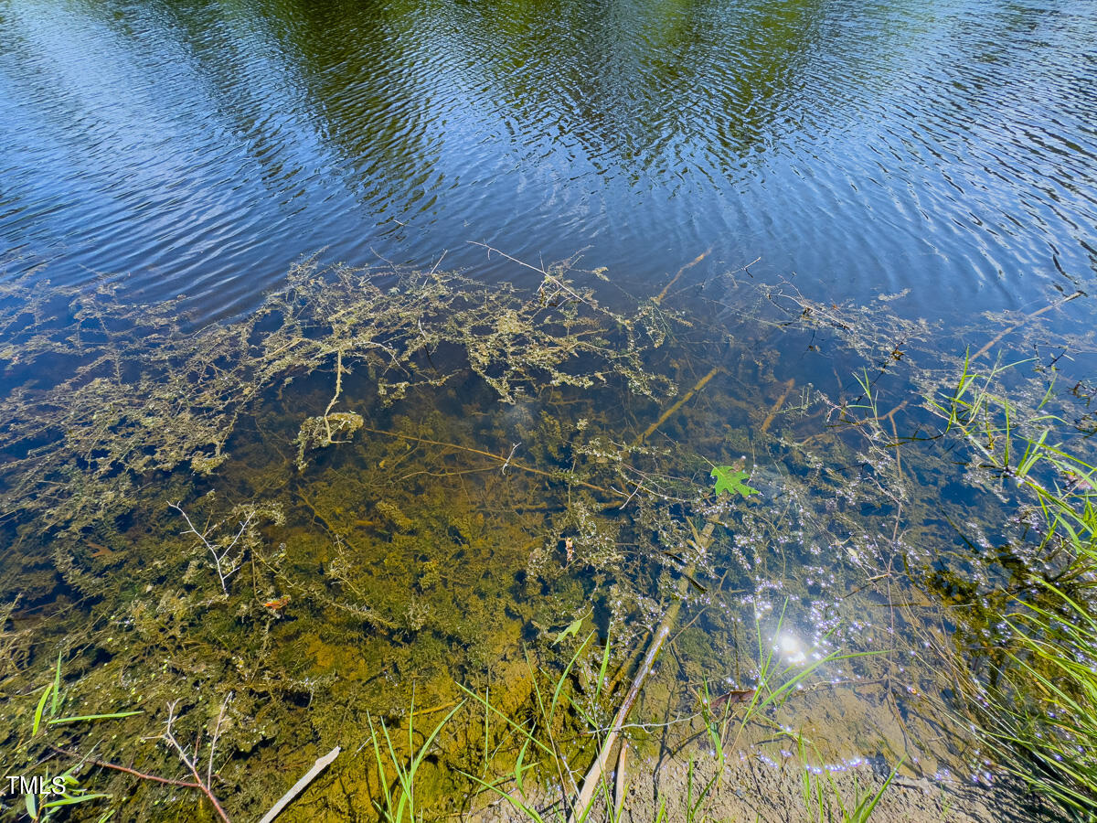 00 Aldridge Road Property Photo 19