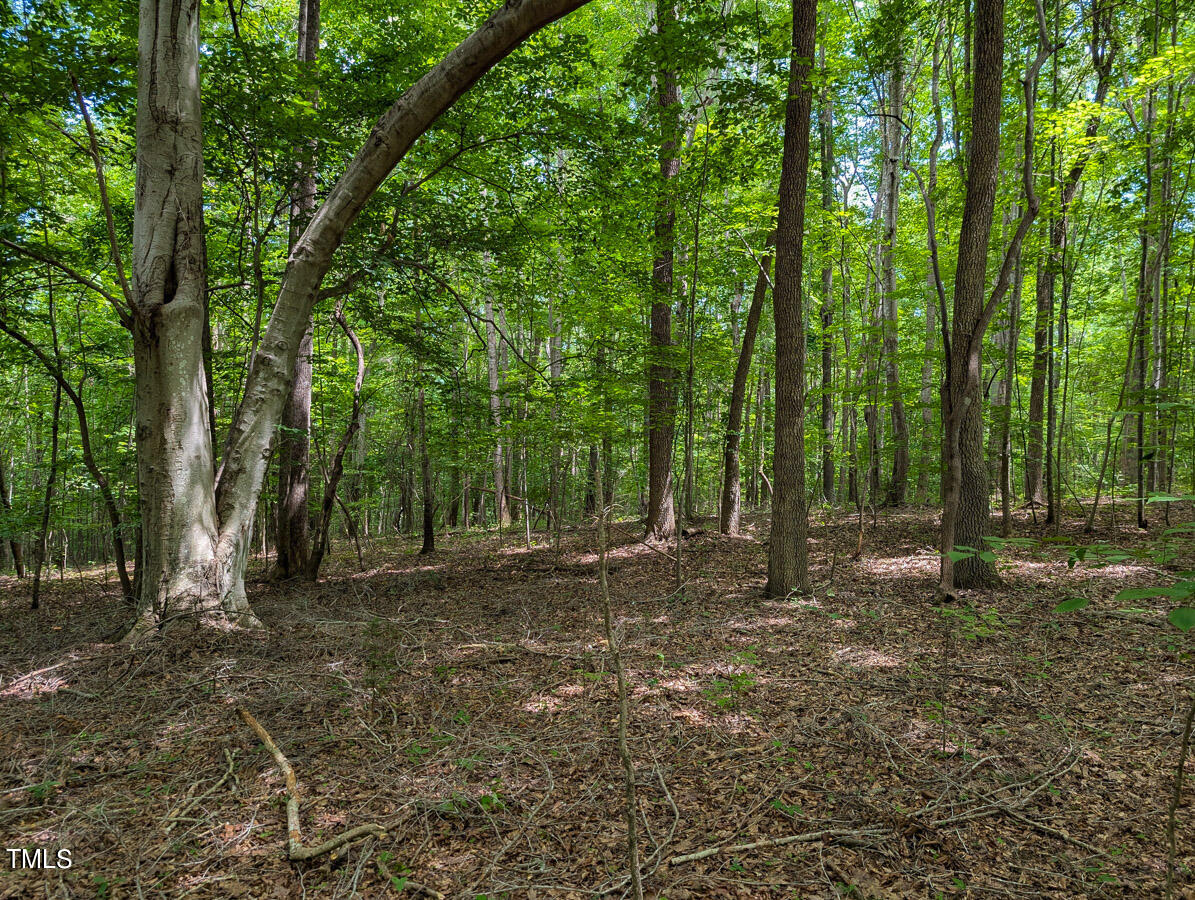 00 Aldridge Road Property Photo 21