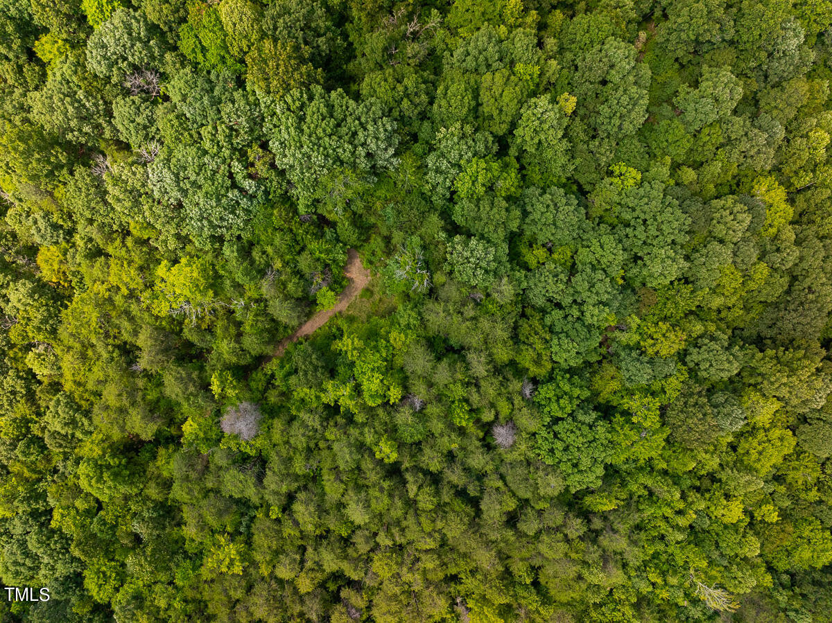 00 Aldridge Road Property Photo 34