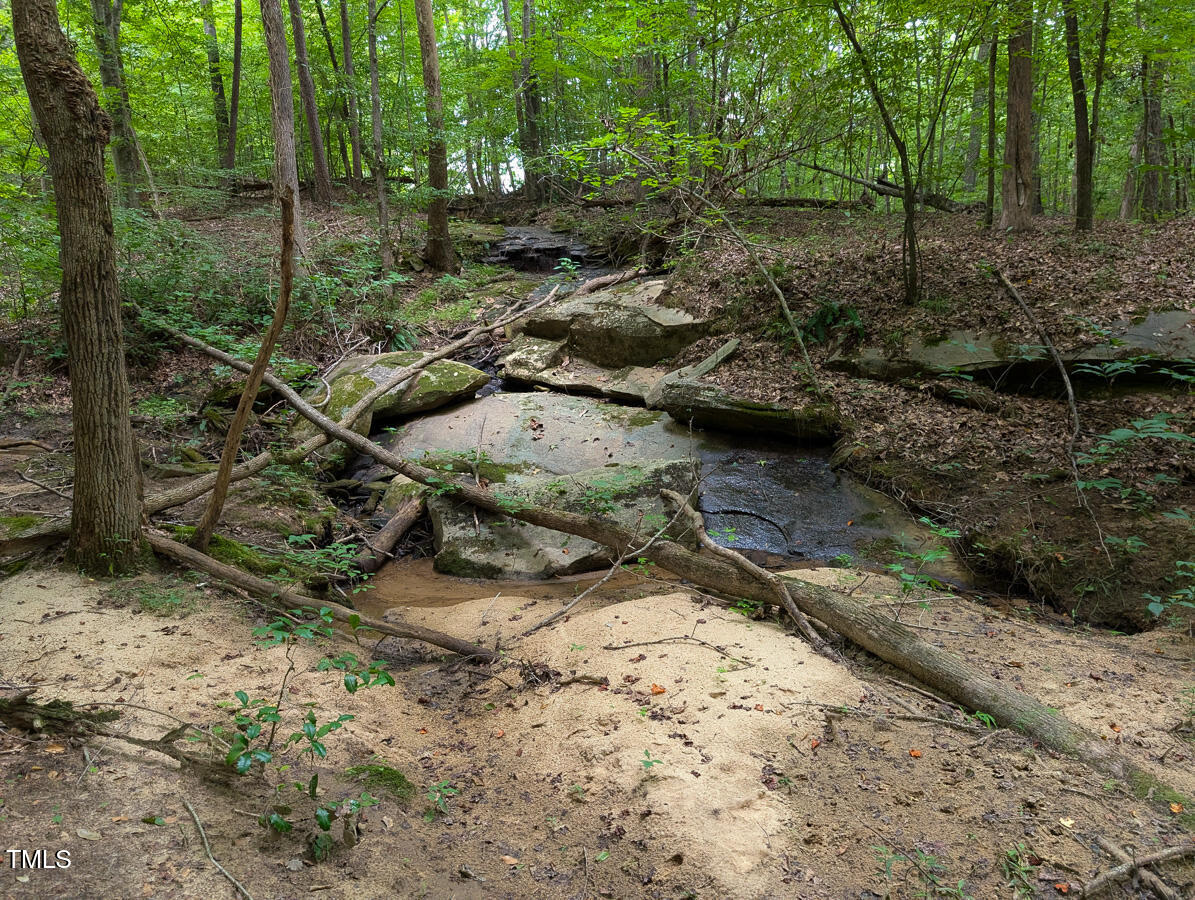 00 Aldridge Road Property Photo 36