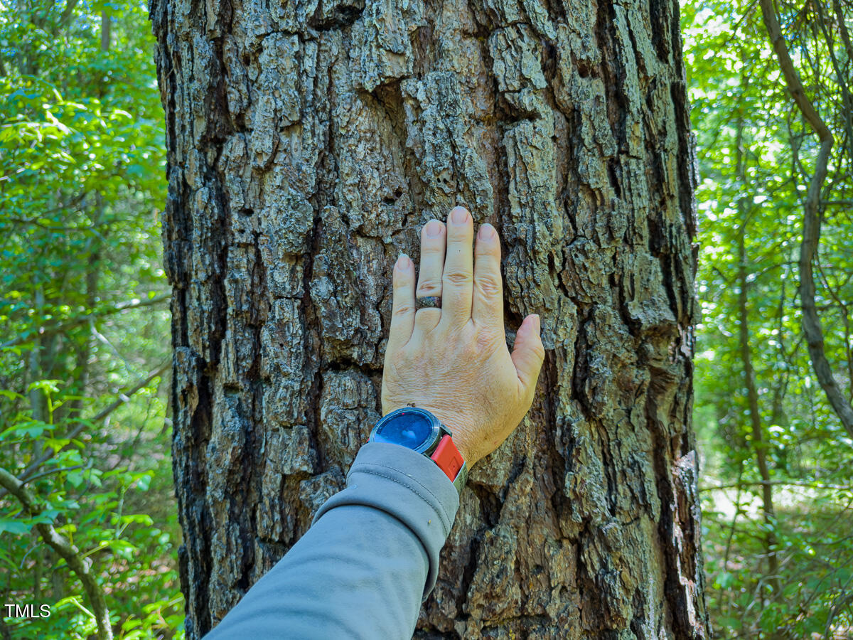 00 Aldridge Road Property Photo 40