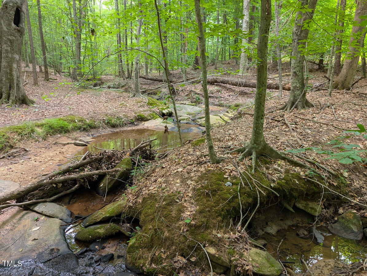 00 Aldridge Road Property Photo 42