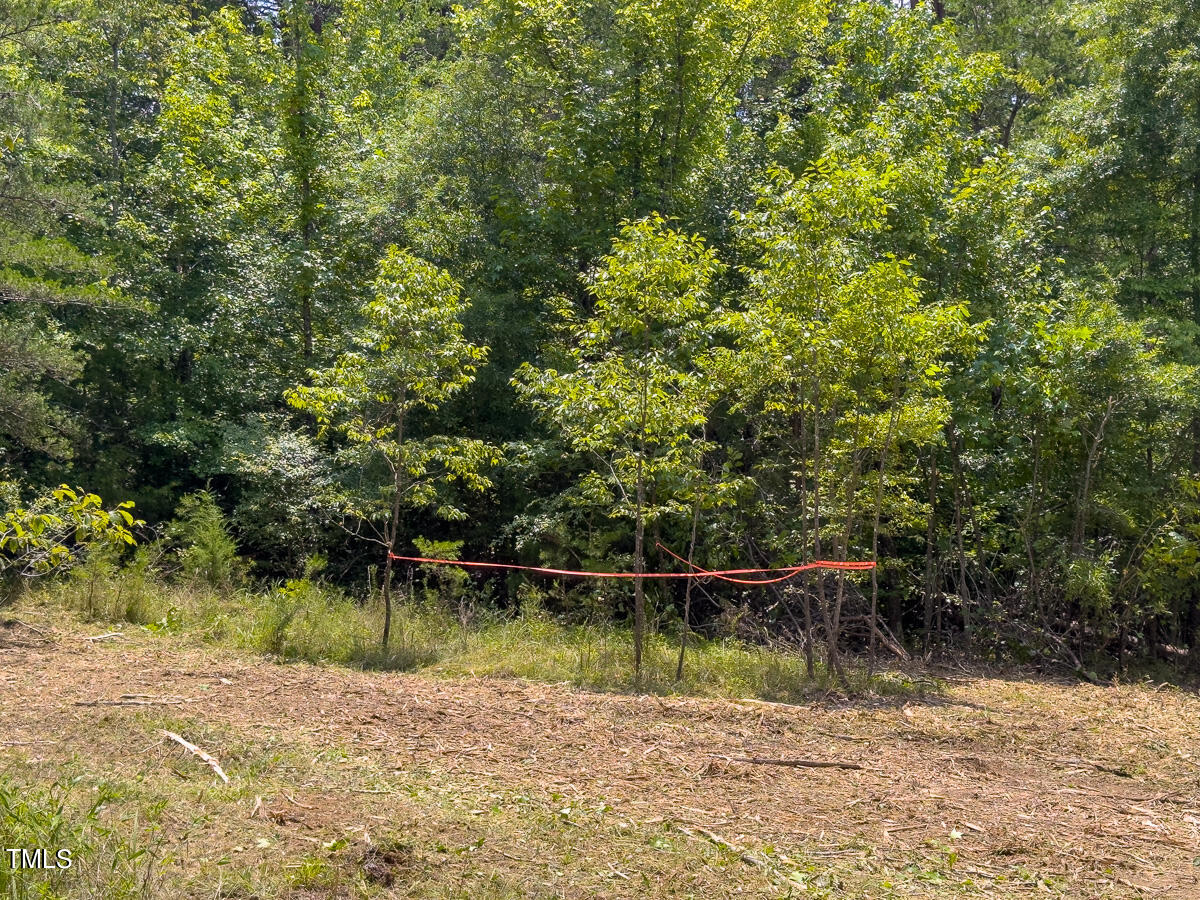 00 Aldridge Road Property Photo 48