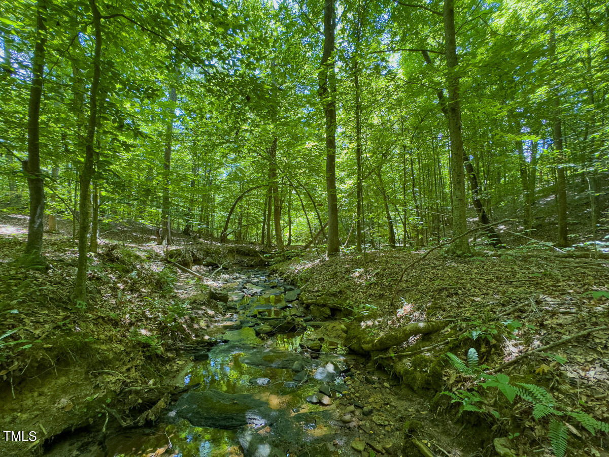 00 Aldridge Road Property Photo 52