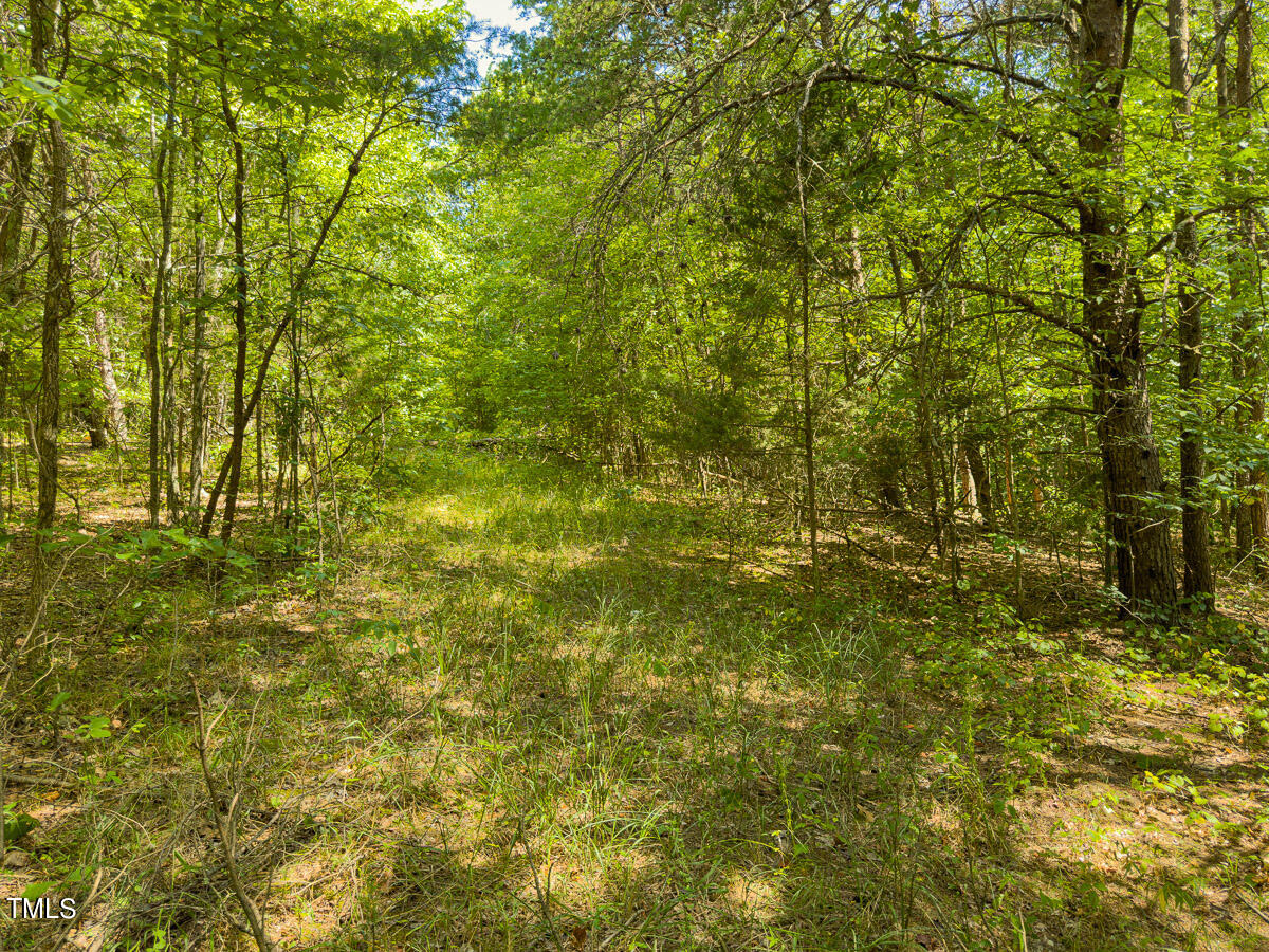 00 Aldridge Road Property Photo 60