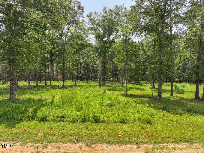 Lot H Lewis Mill Road Property Photo 2