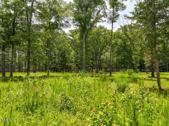 Lot H Lewis Mill Road Property Photo 4