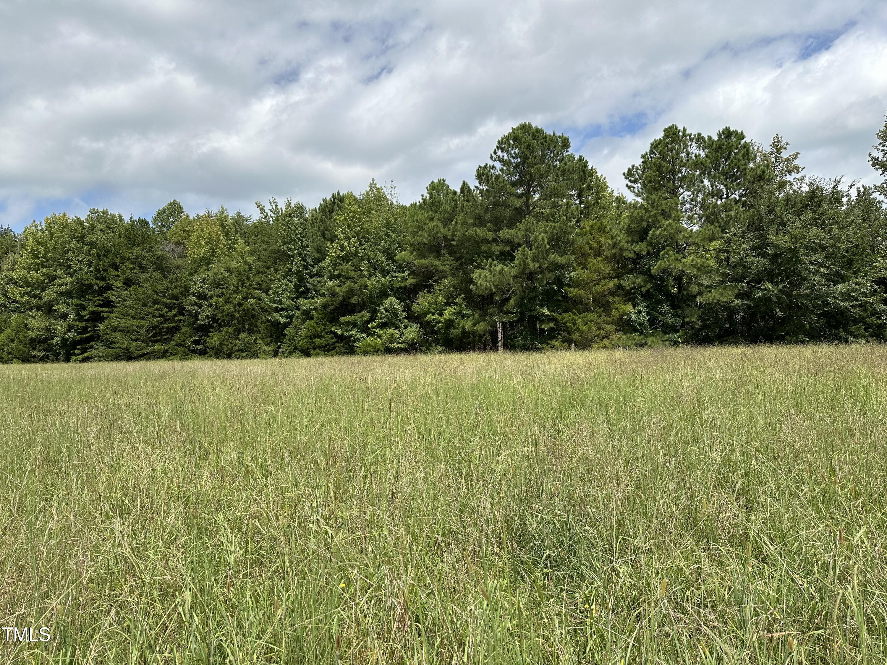 0 Sawmill Property Photo 6