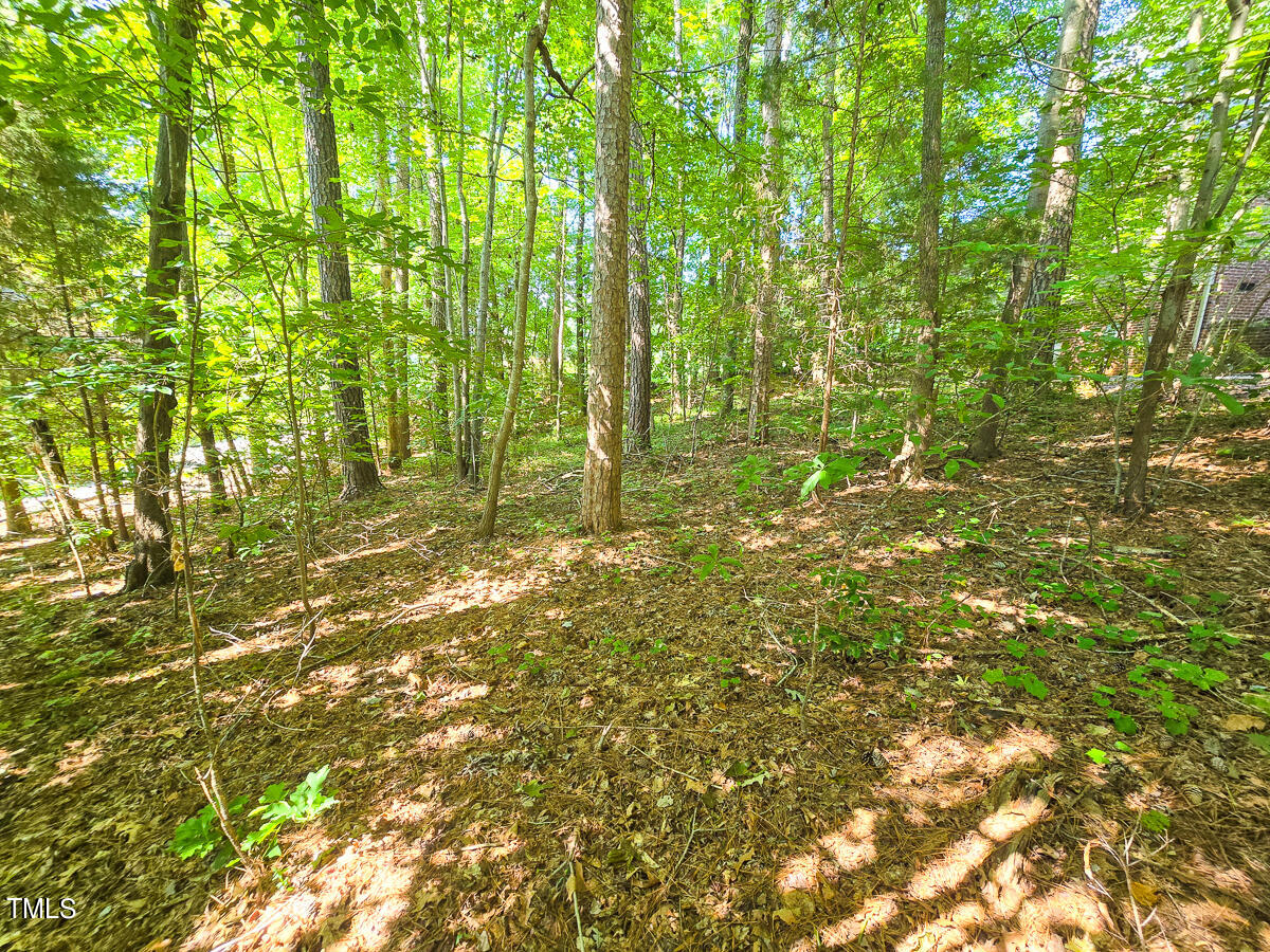 0 The Pointe Property Photo 11