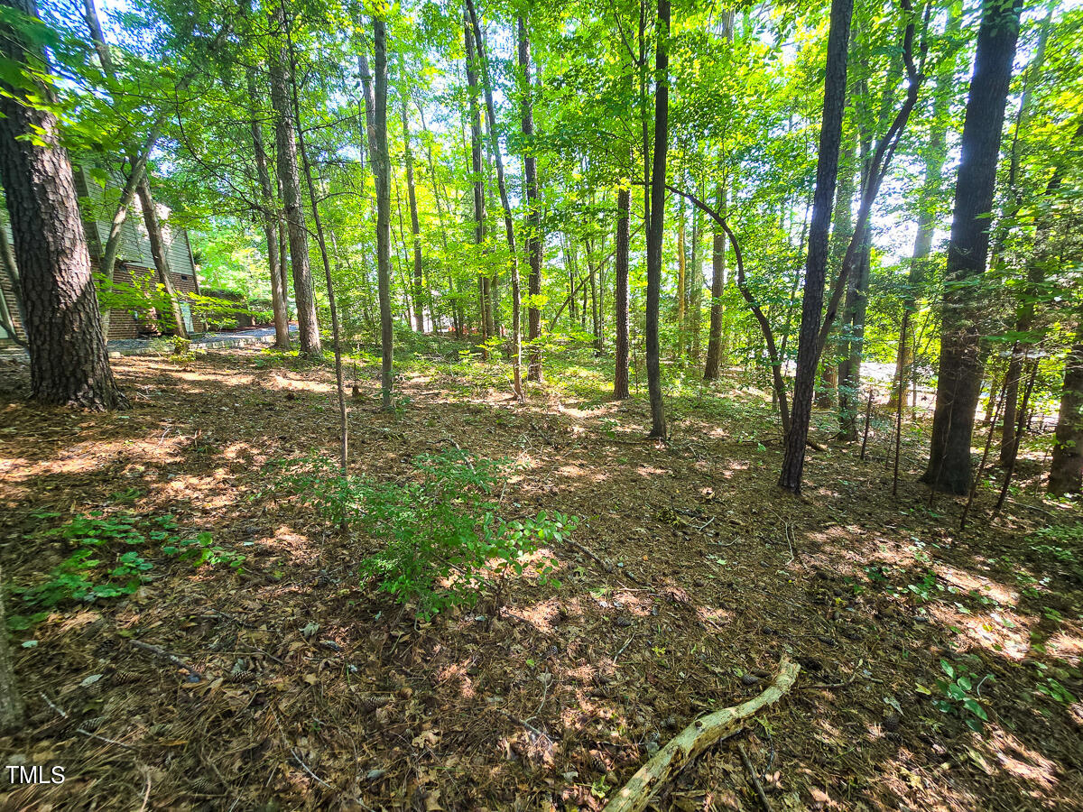 0 The Pointe Property Photo 12