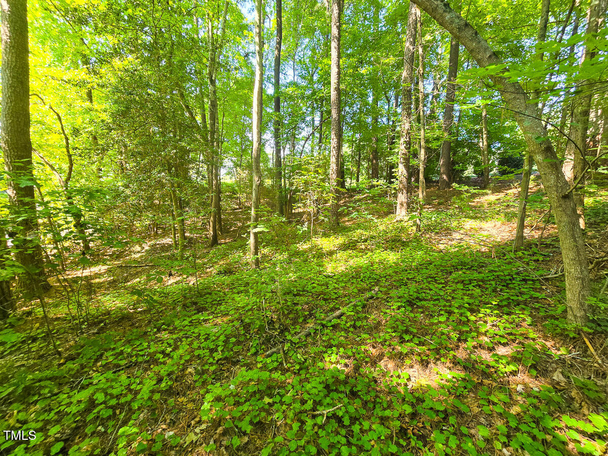 0 The Pointe Property Photo 14