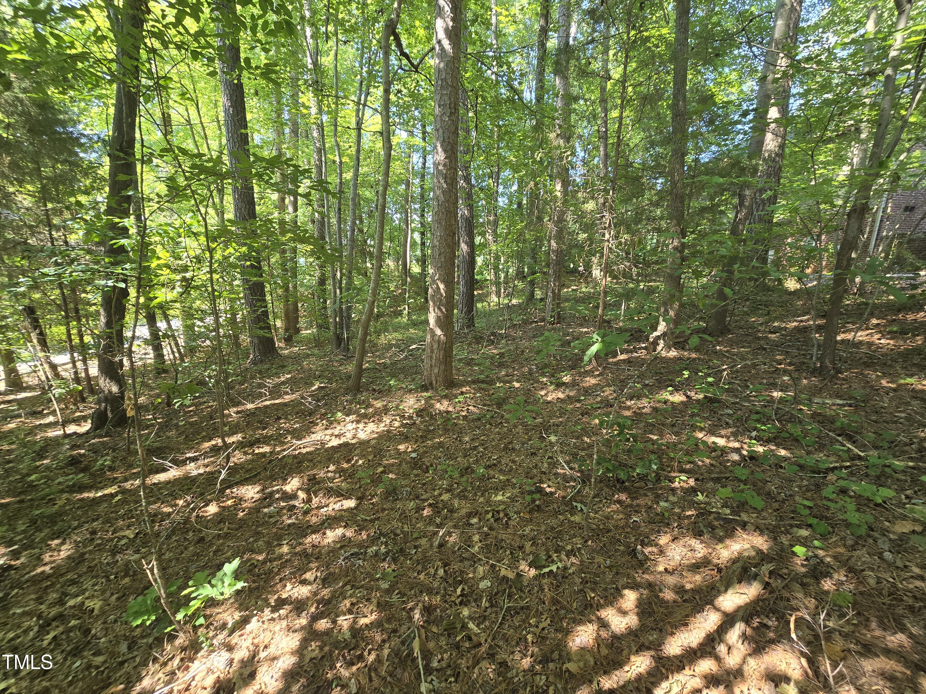 0 The Pointe Property Photo 19