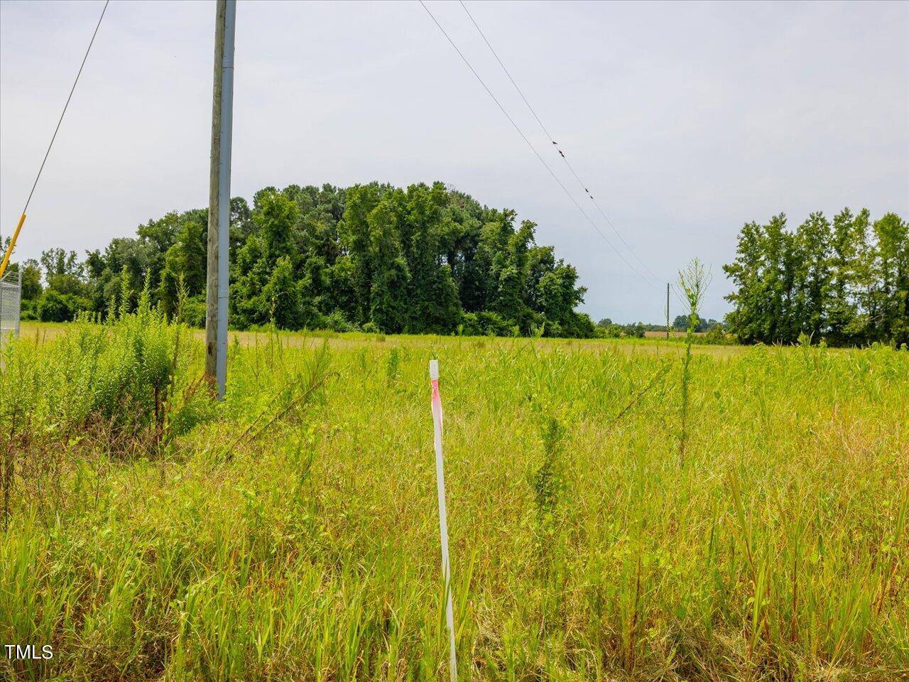 0 Pasture Branch Road Property Photo 10