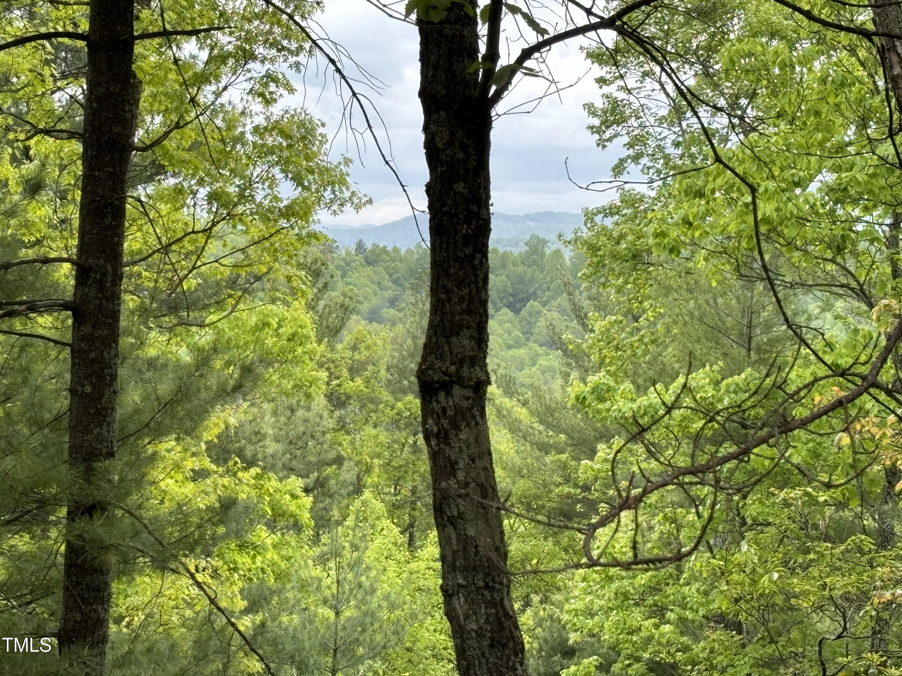Wilkes County Schools Real Estate Listings Main Image