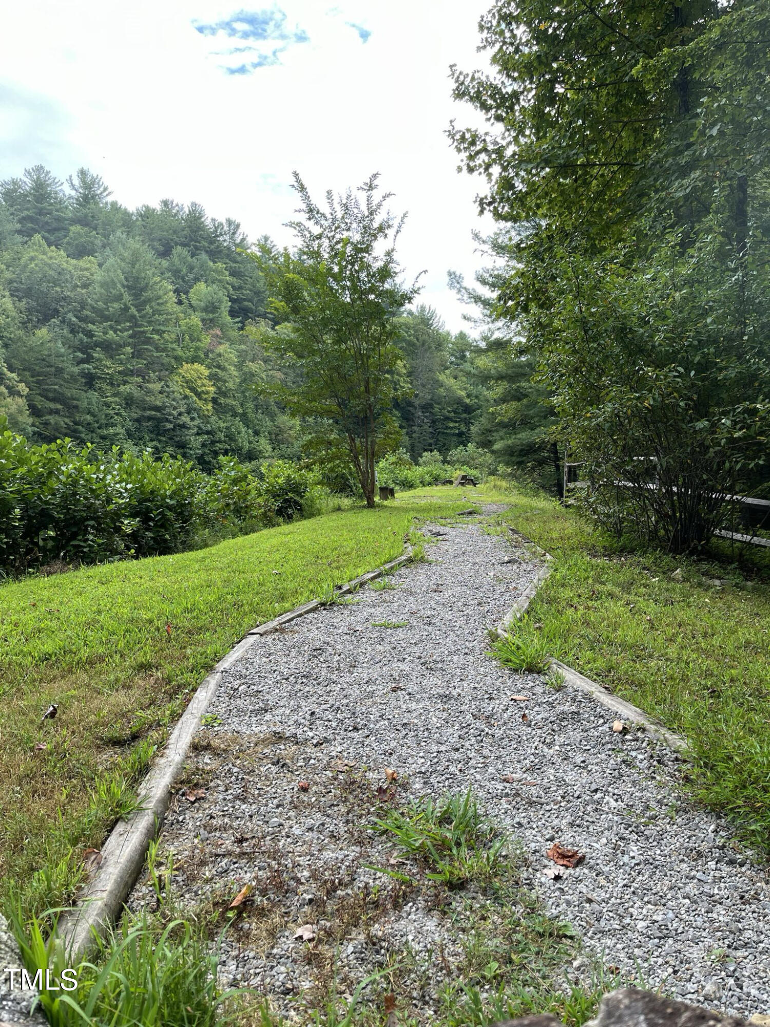 Tbd Blue Rock Road Property Photo 5