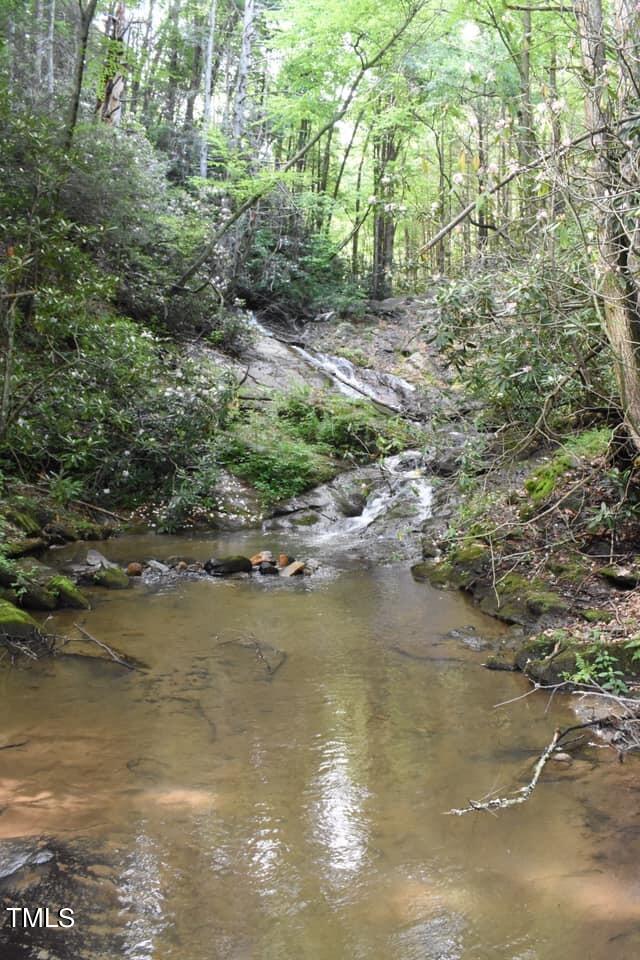 Tbd Blue Rock Road Property Photo 9