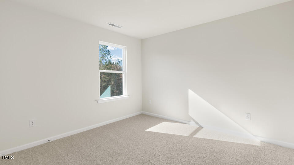 91 Calebs Corner Place Property Photo 37