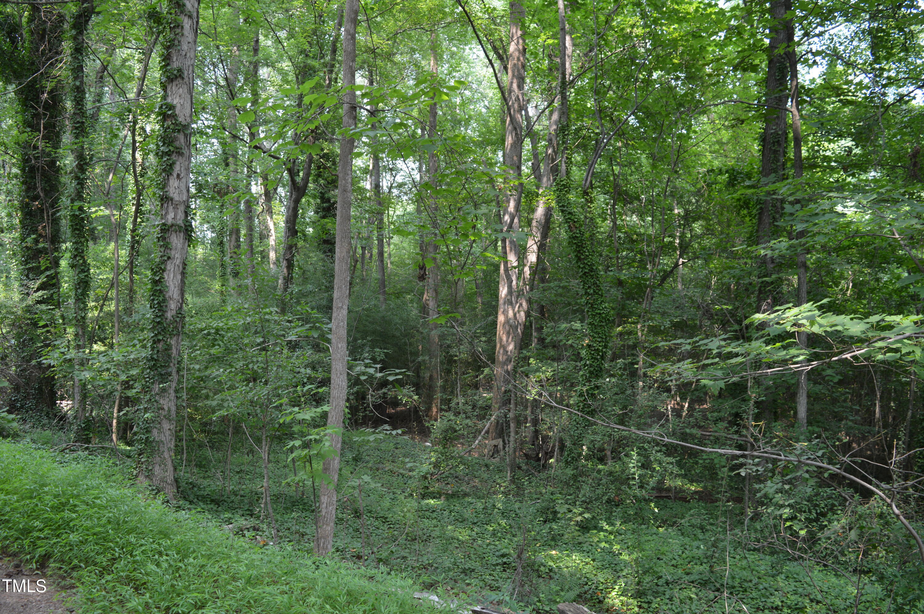 810 Sw Maynard Road Property Photo 2