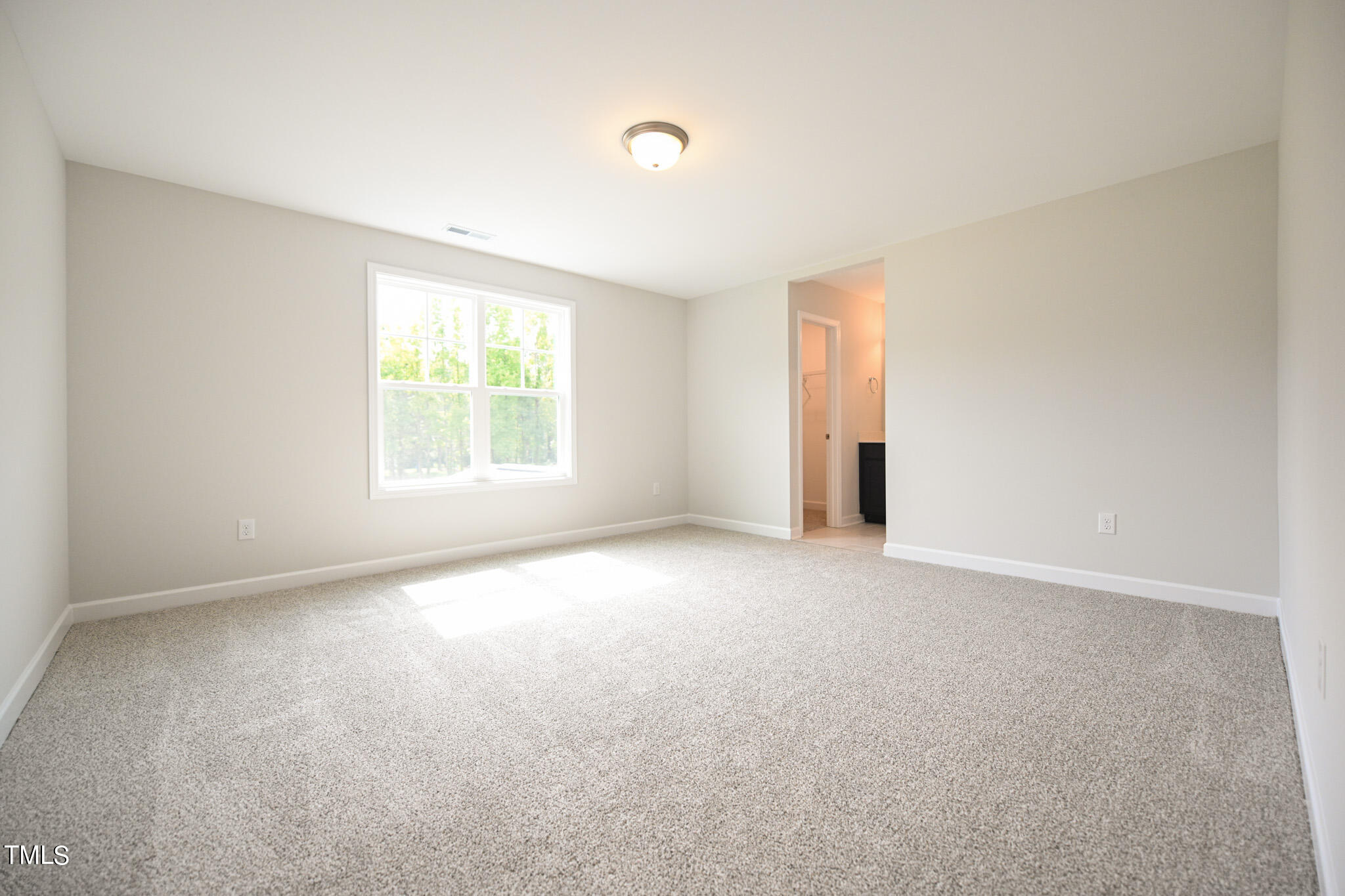236 Abingdon Farms Drive Property Photo 36