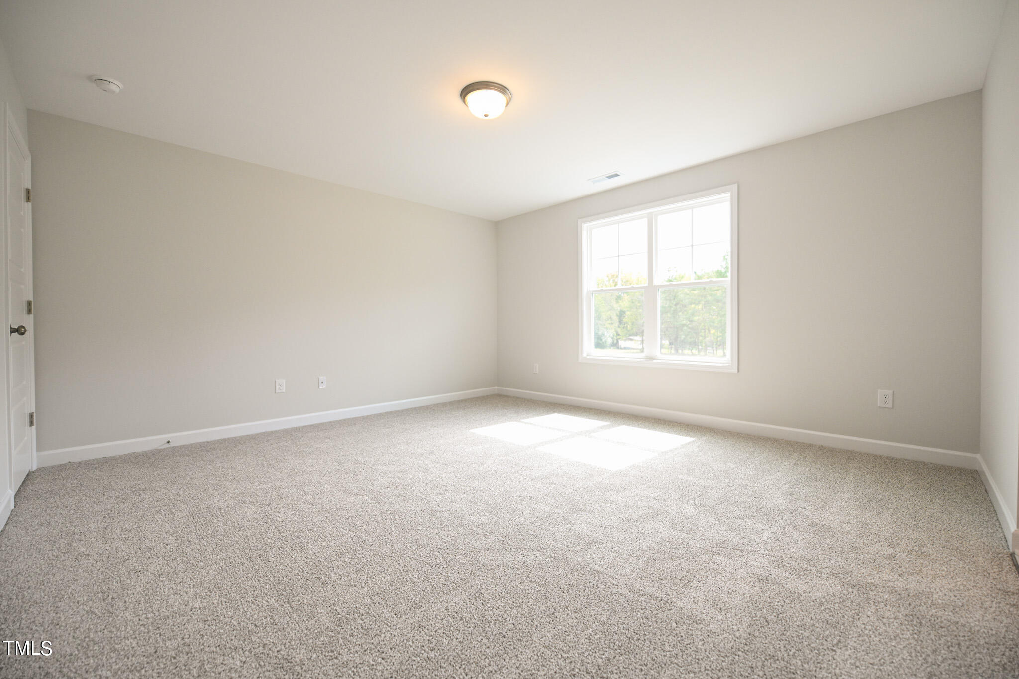 236 Abingdon Farms Drive Property Photo 37