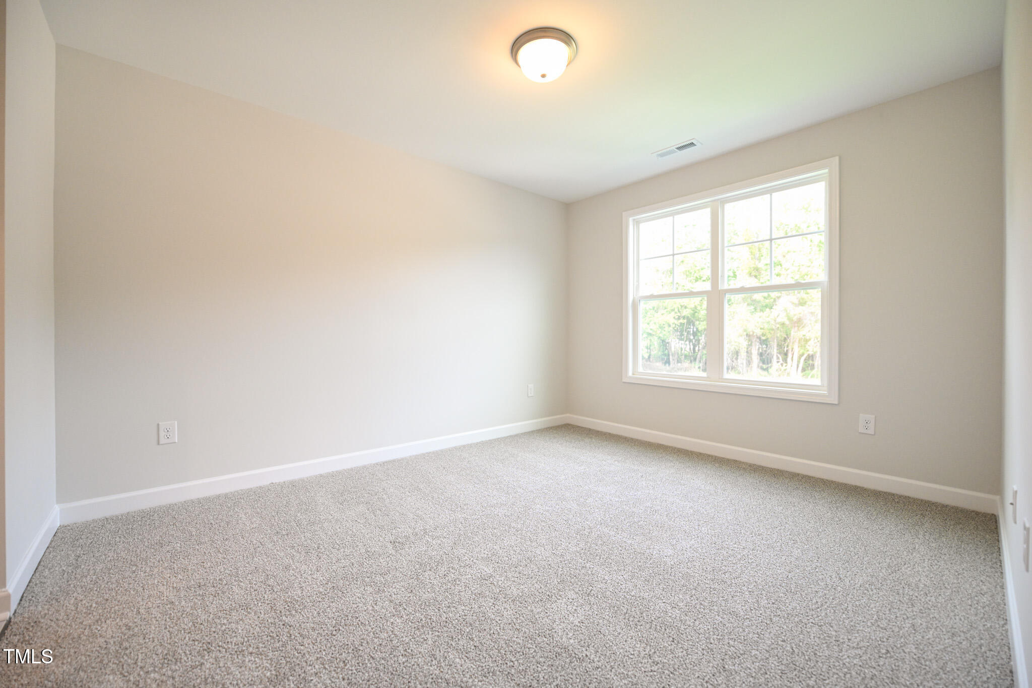 236 Abingdon Farms Drive Property Photo 41