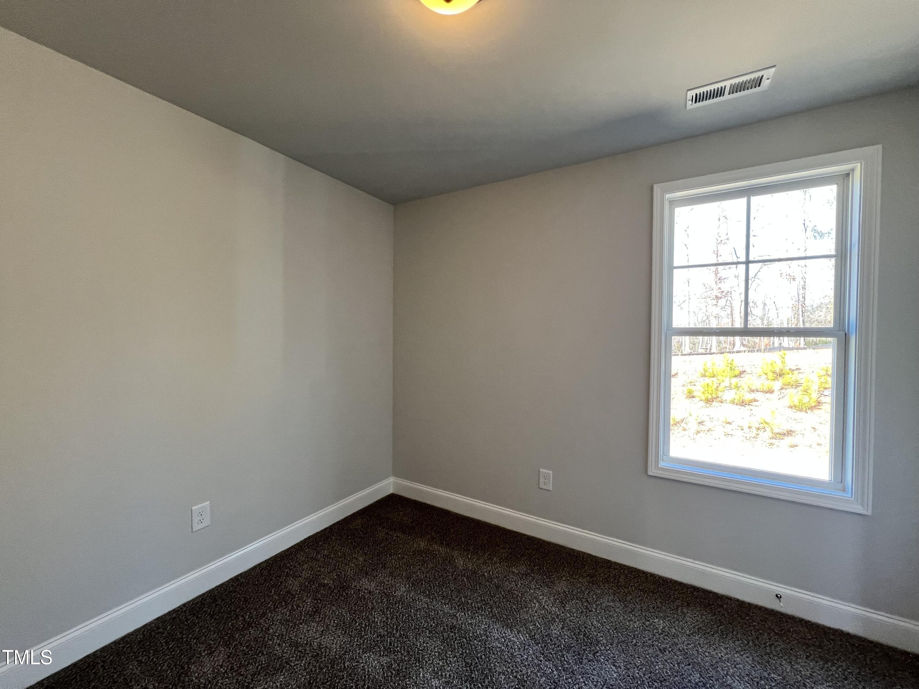 24 S Mistflower Street Property Photo 9