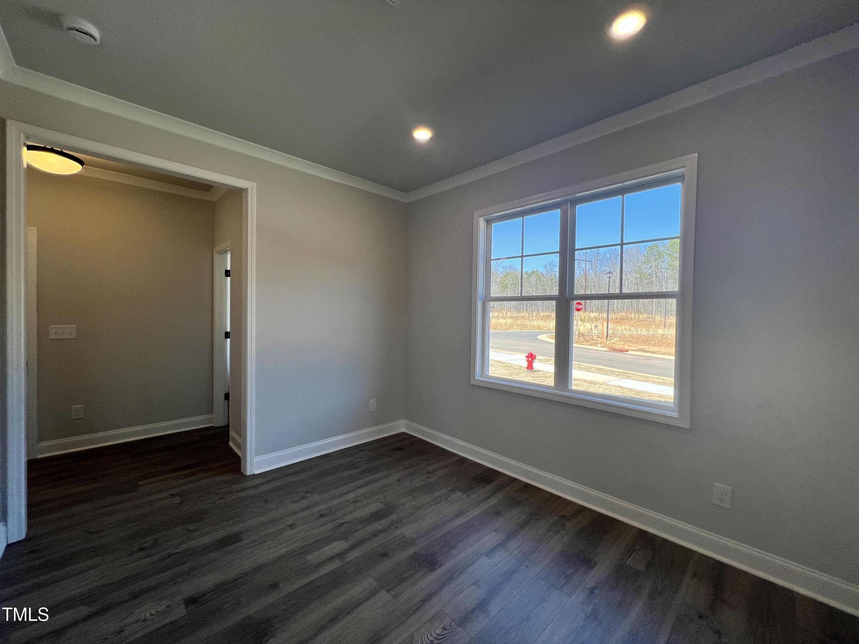 17 S Mistflower Street Property Photo 5