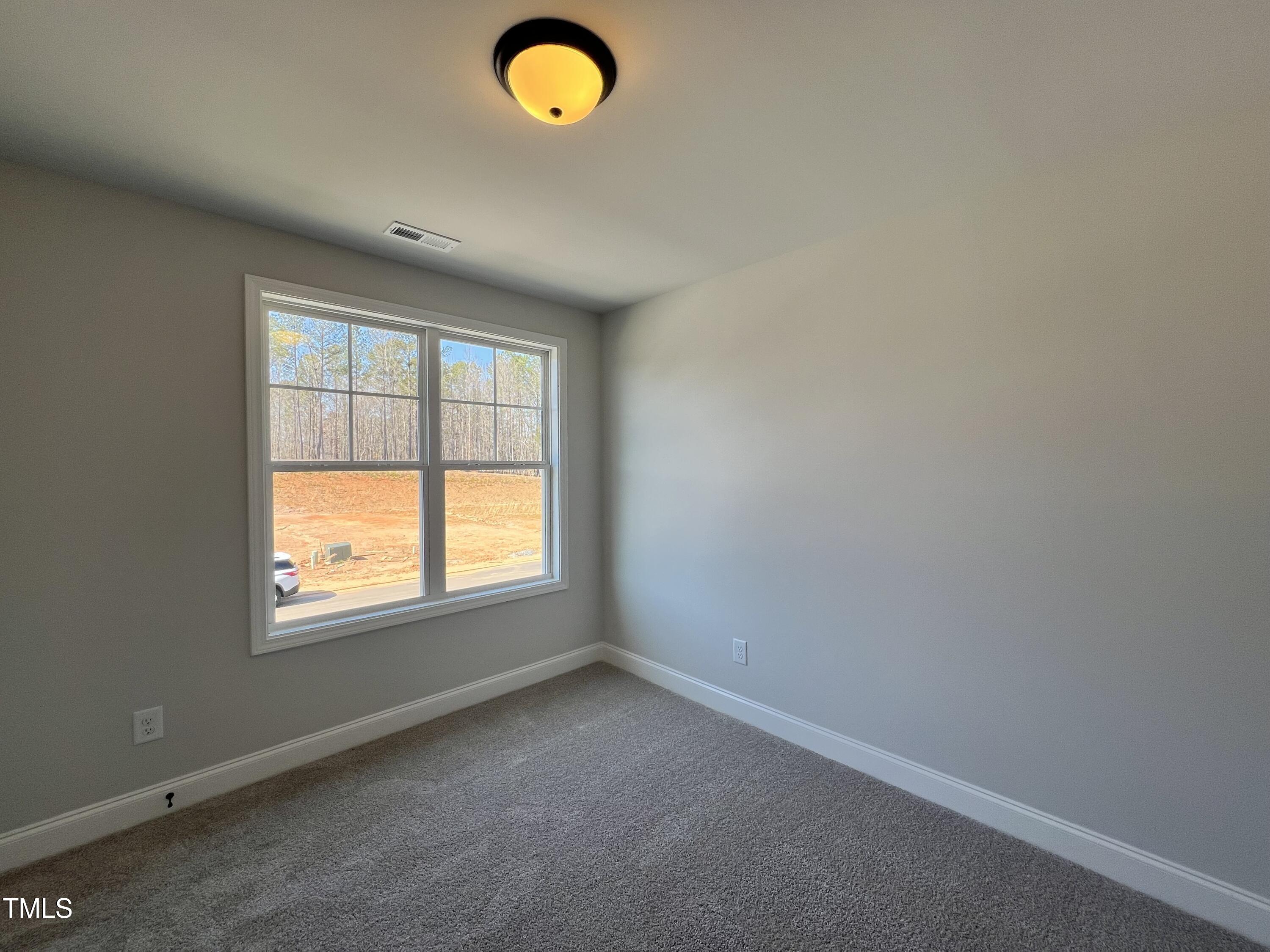 17 S Mistflower Street Property Photo 11