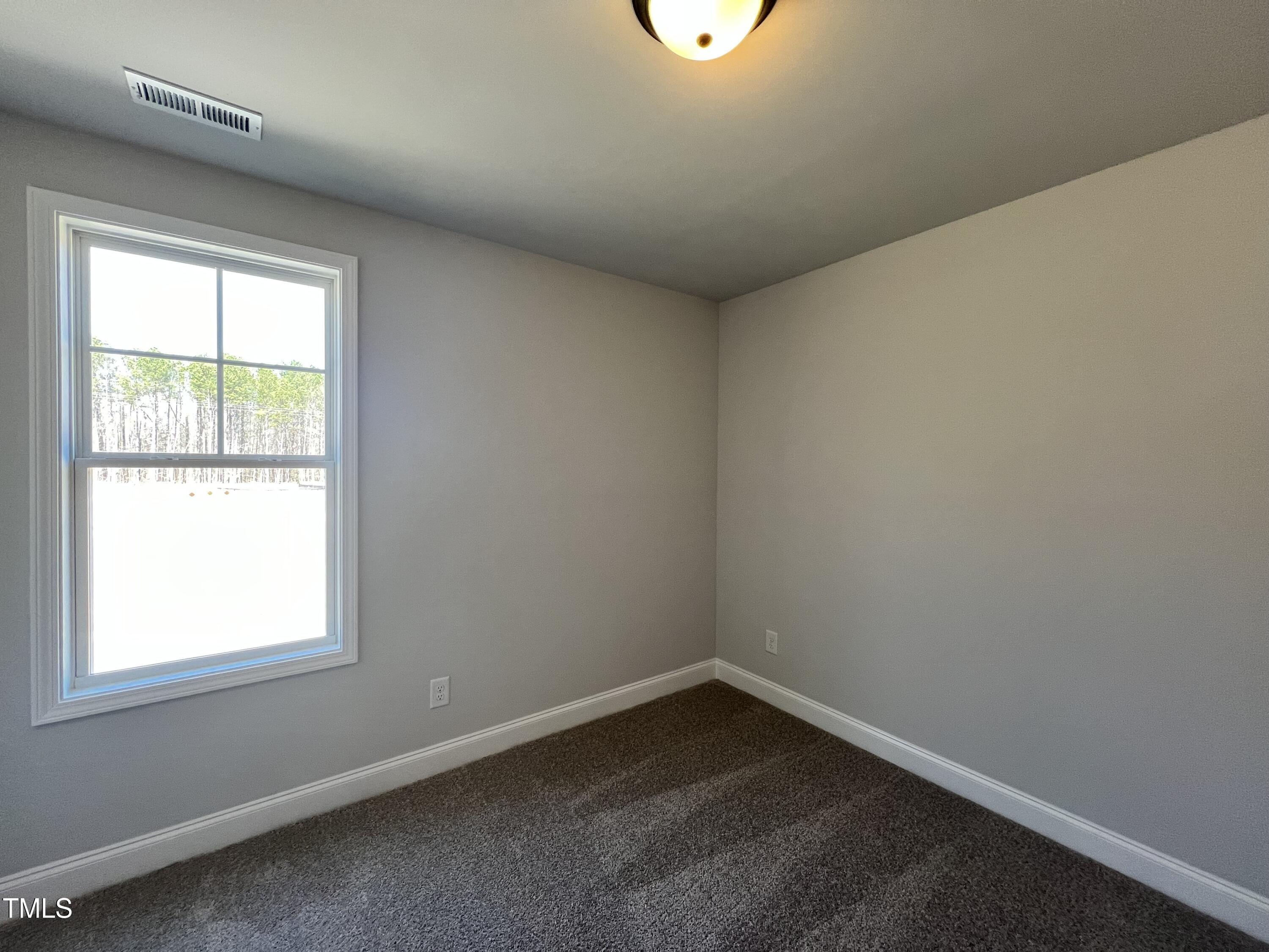 17 S Mistflower Street Property Photo 12