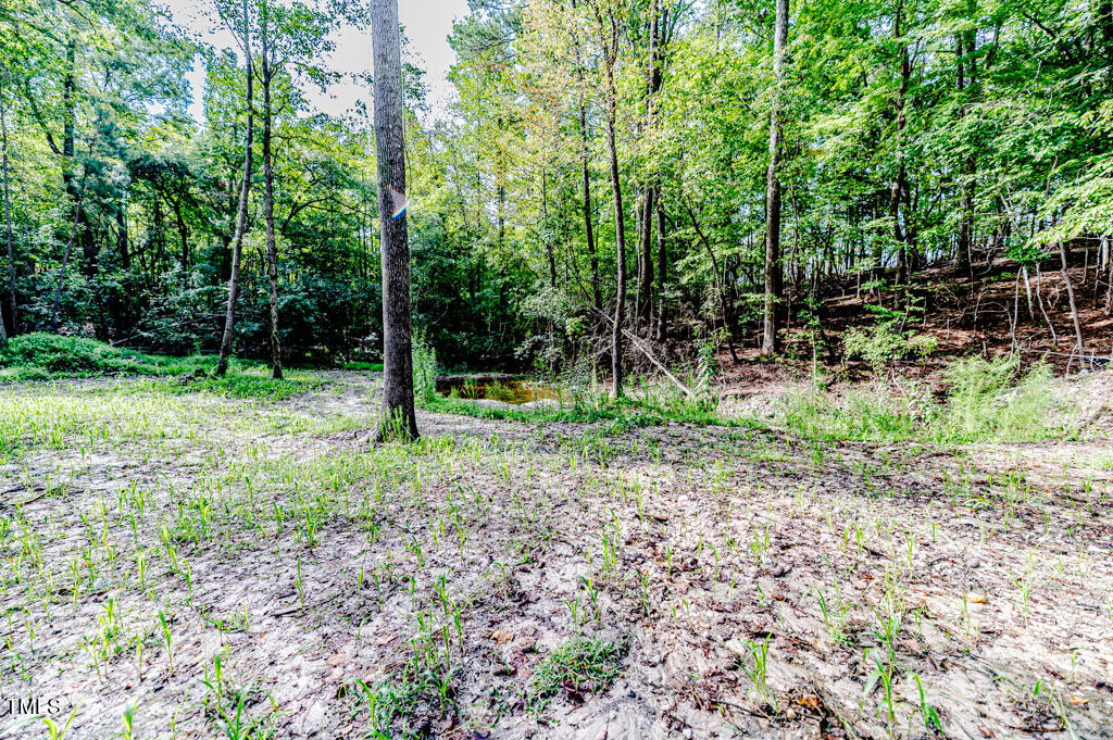997 Jackson Road Property Photo 7