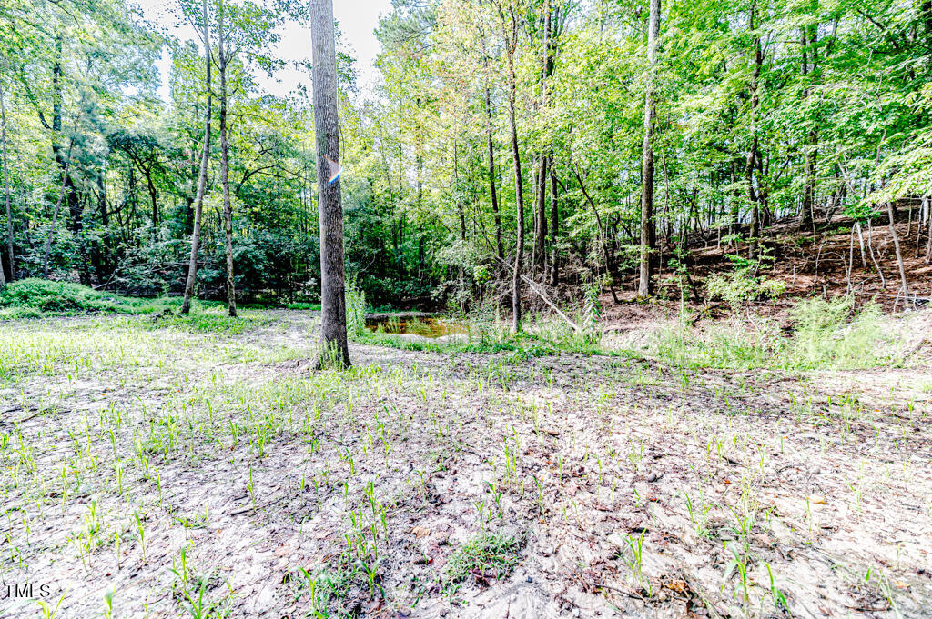 997 Jackson Road Property Photo 75