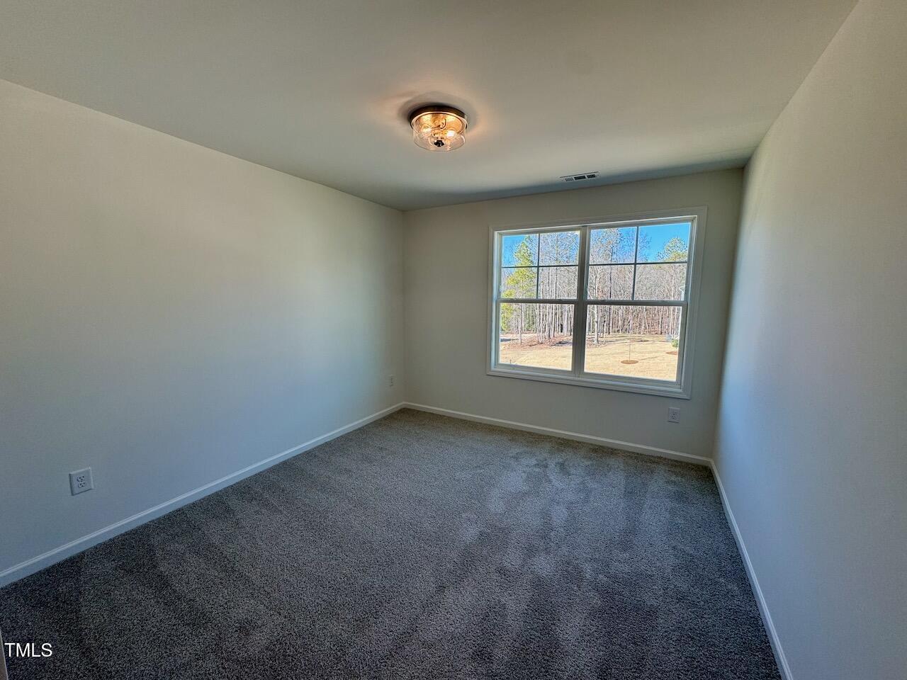 199 Grand Griffon Way Property Photo 44