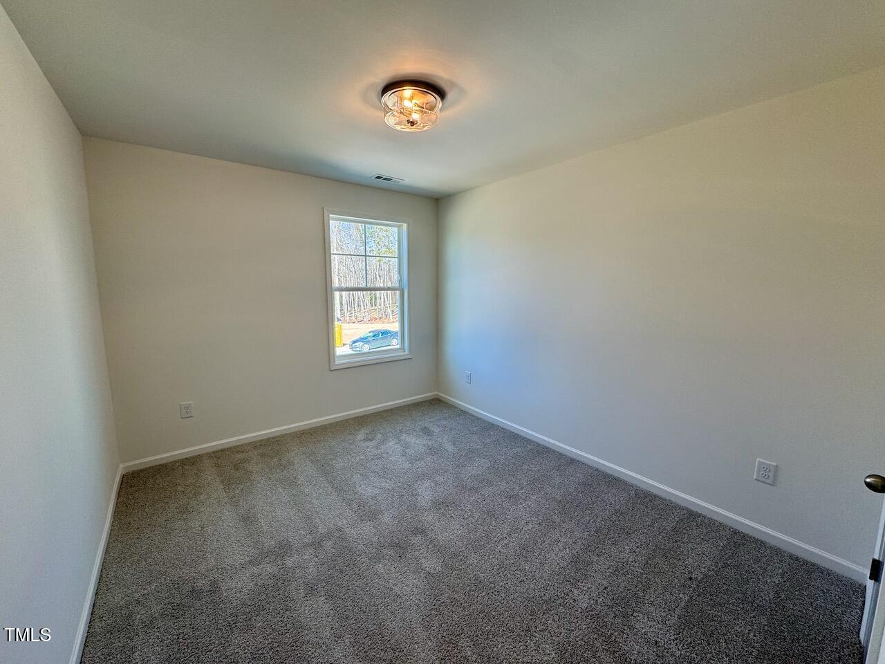 199 Grand Griffon Way Property Photo 47