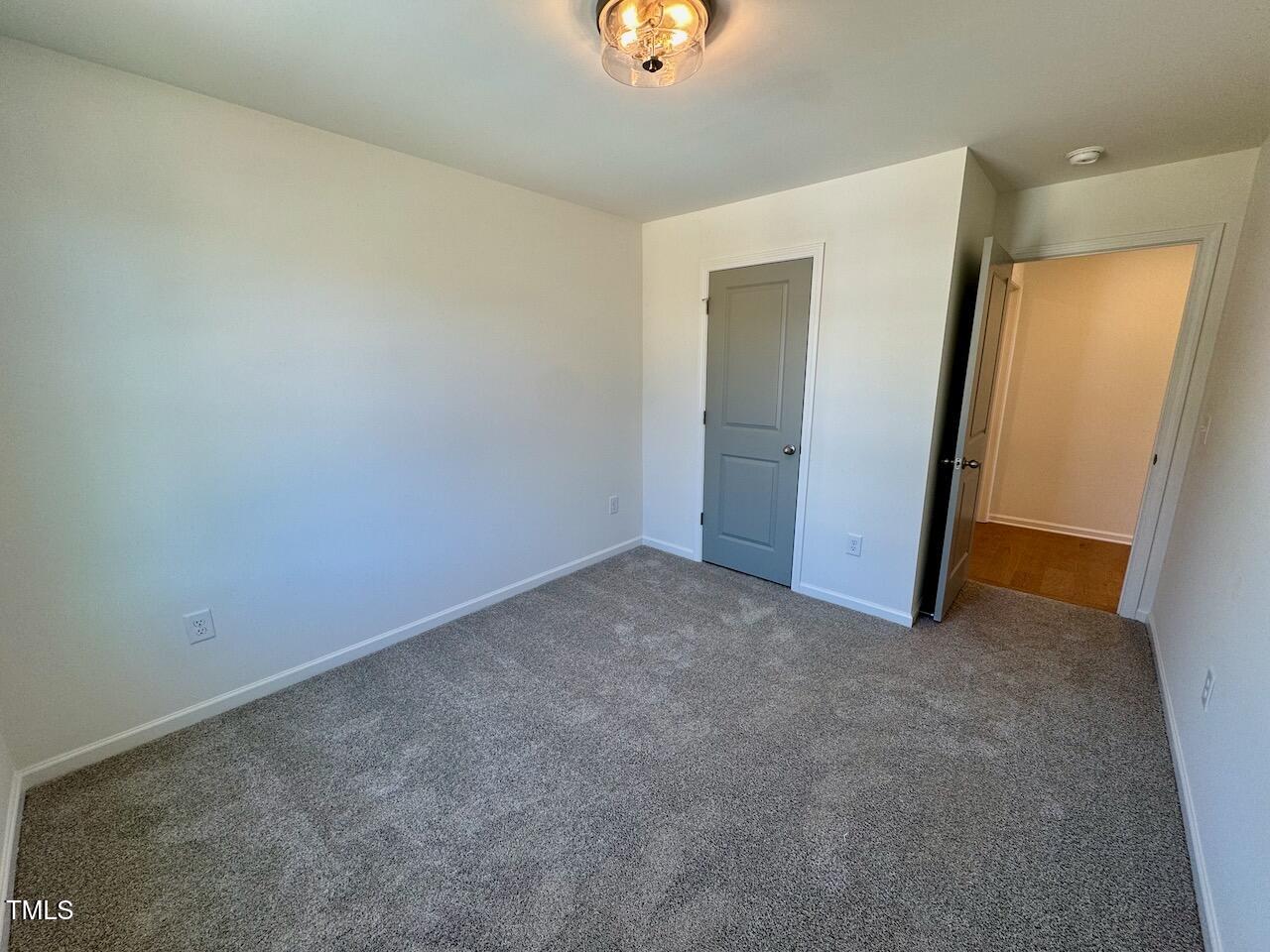 199 Grand Griffon Way Property Photo 54