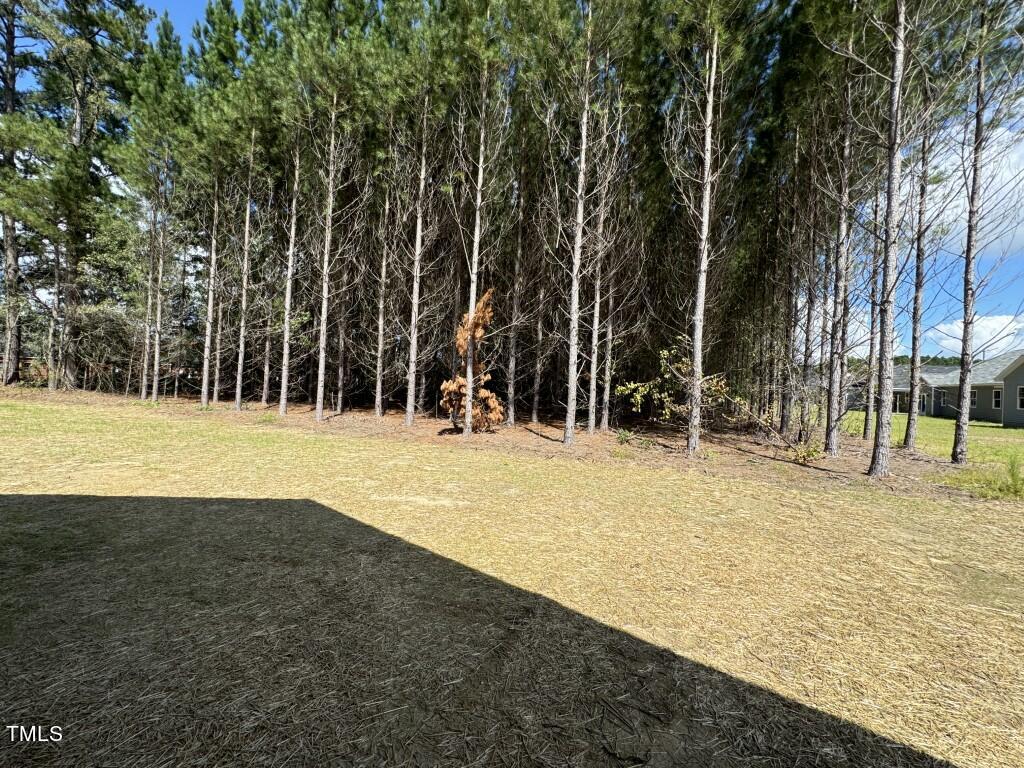 1009 Sunnybrook Road S Property Photo 20