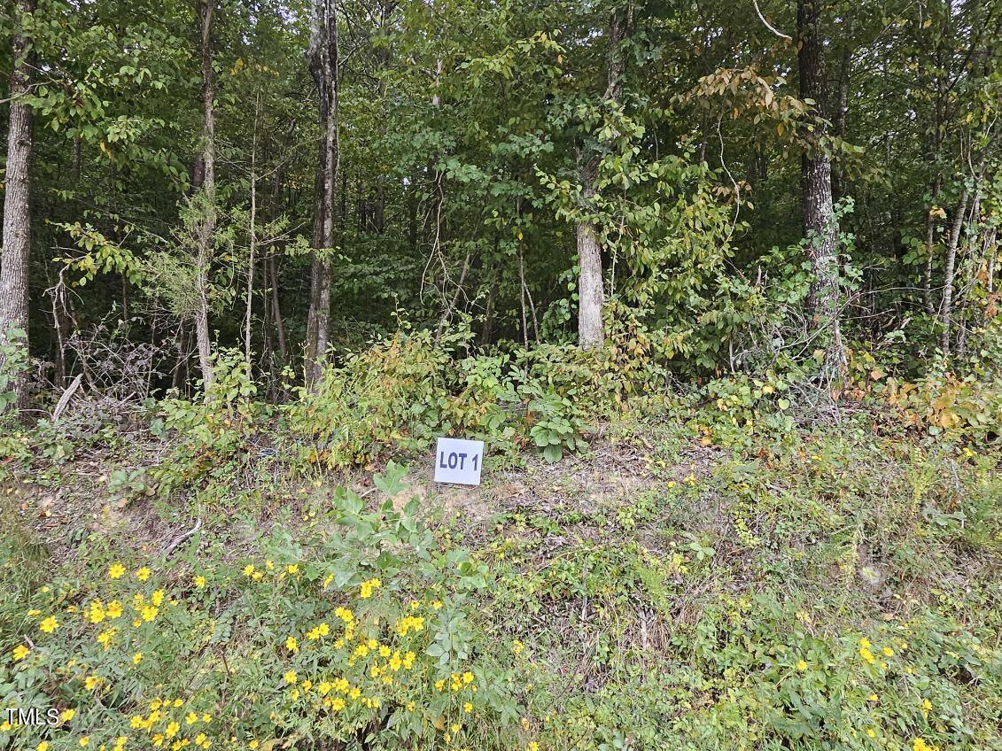 Lot 1 Doll Branch Road Property Photo